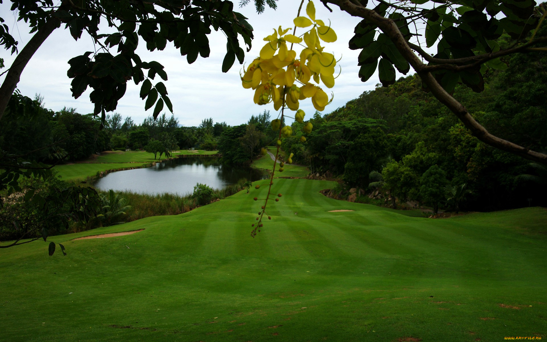 природа, реки, озера, озеро, лужайка, деревья