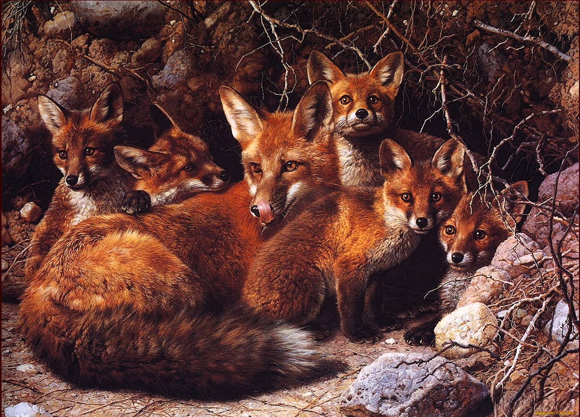 рисованное, животные, , лисы, лиса, лисята, нора, корни