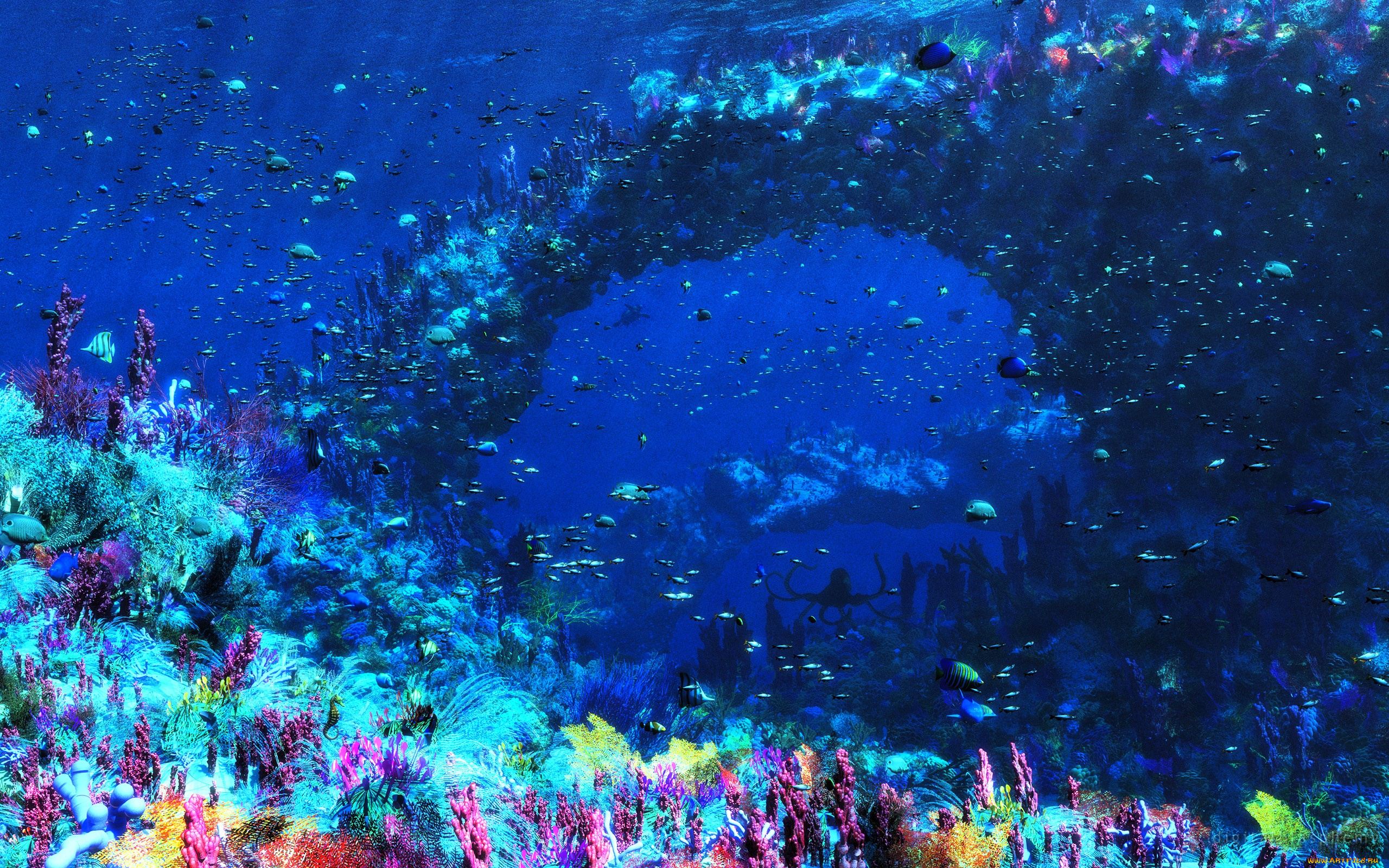 3д, графика, море, , sea, море, арка, скала, дно, рыбы, животные, водоросли