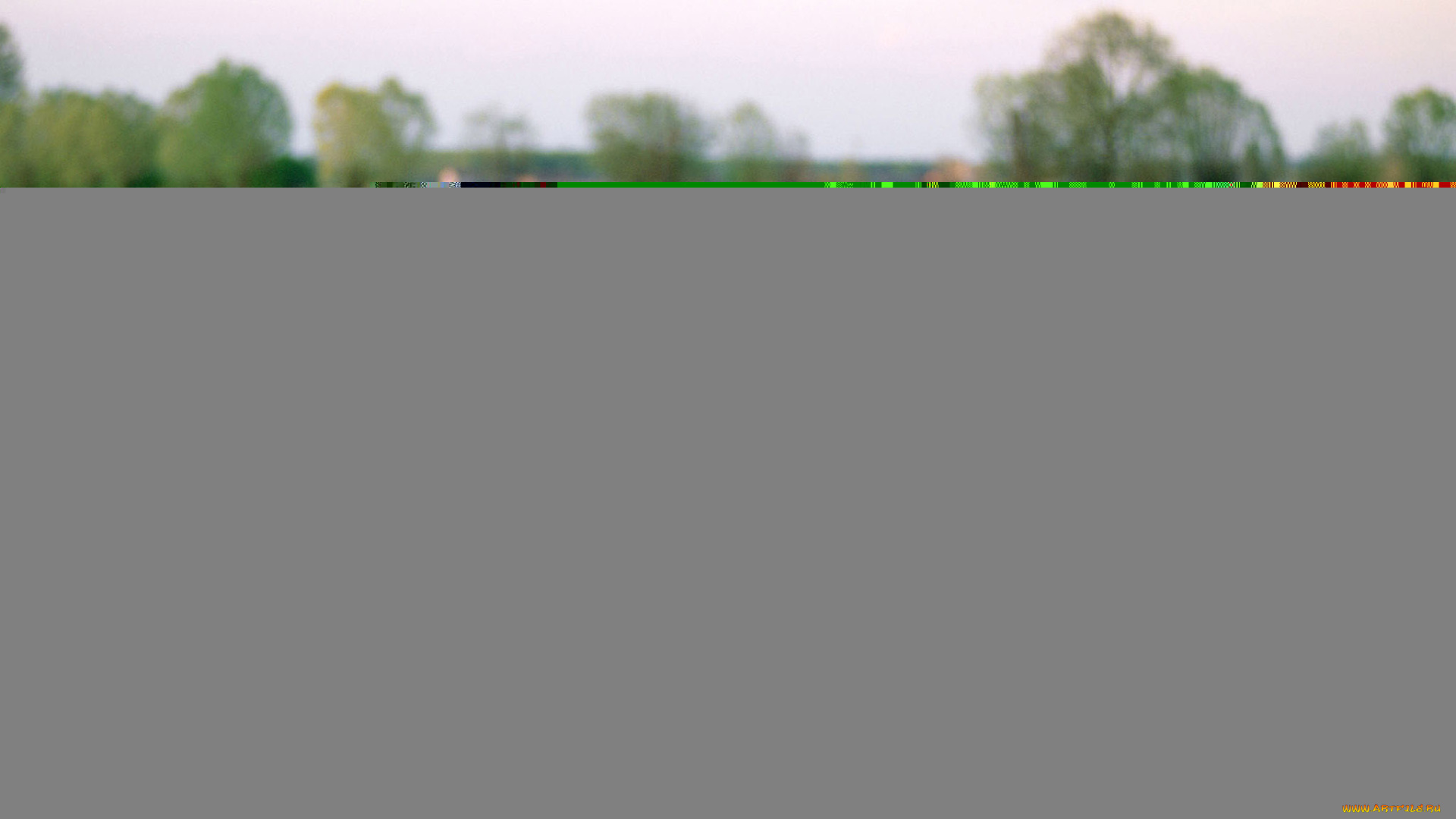 автомобили, stola