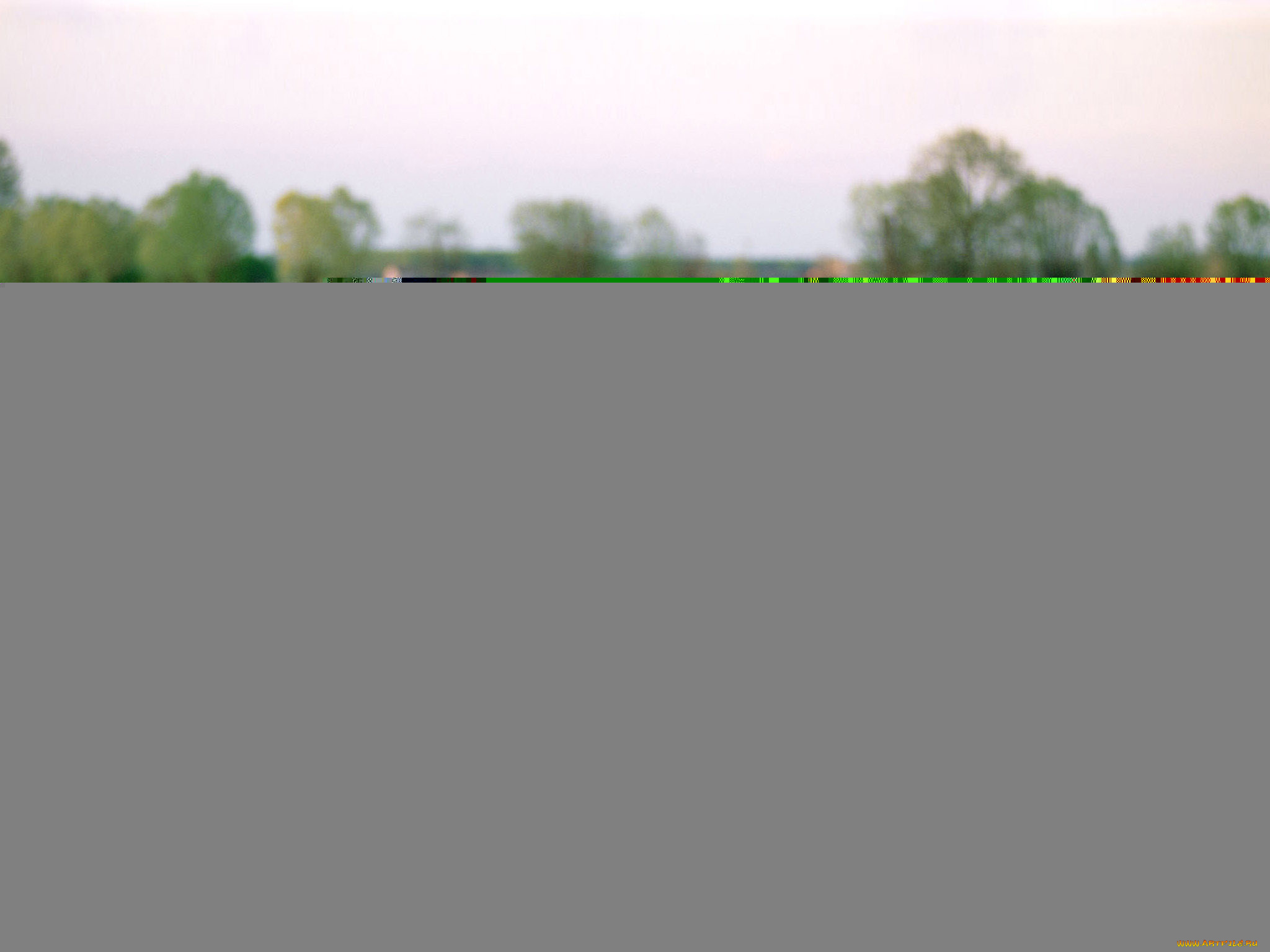 автомобили, stola