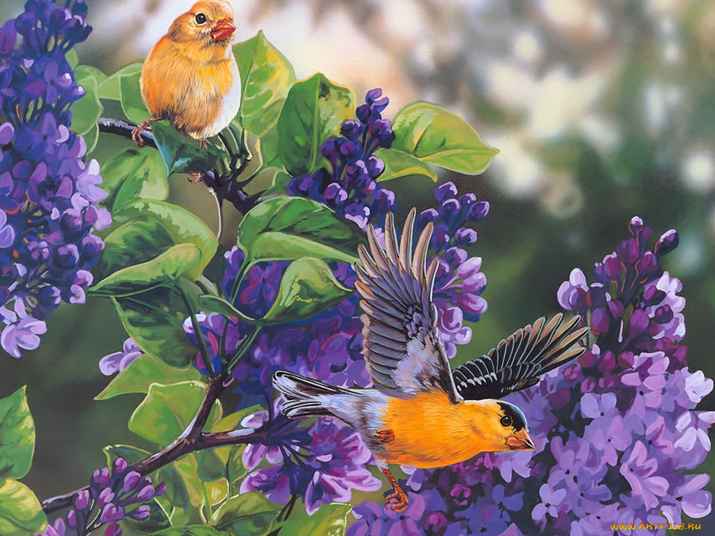 рисованные, животные