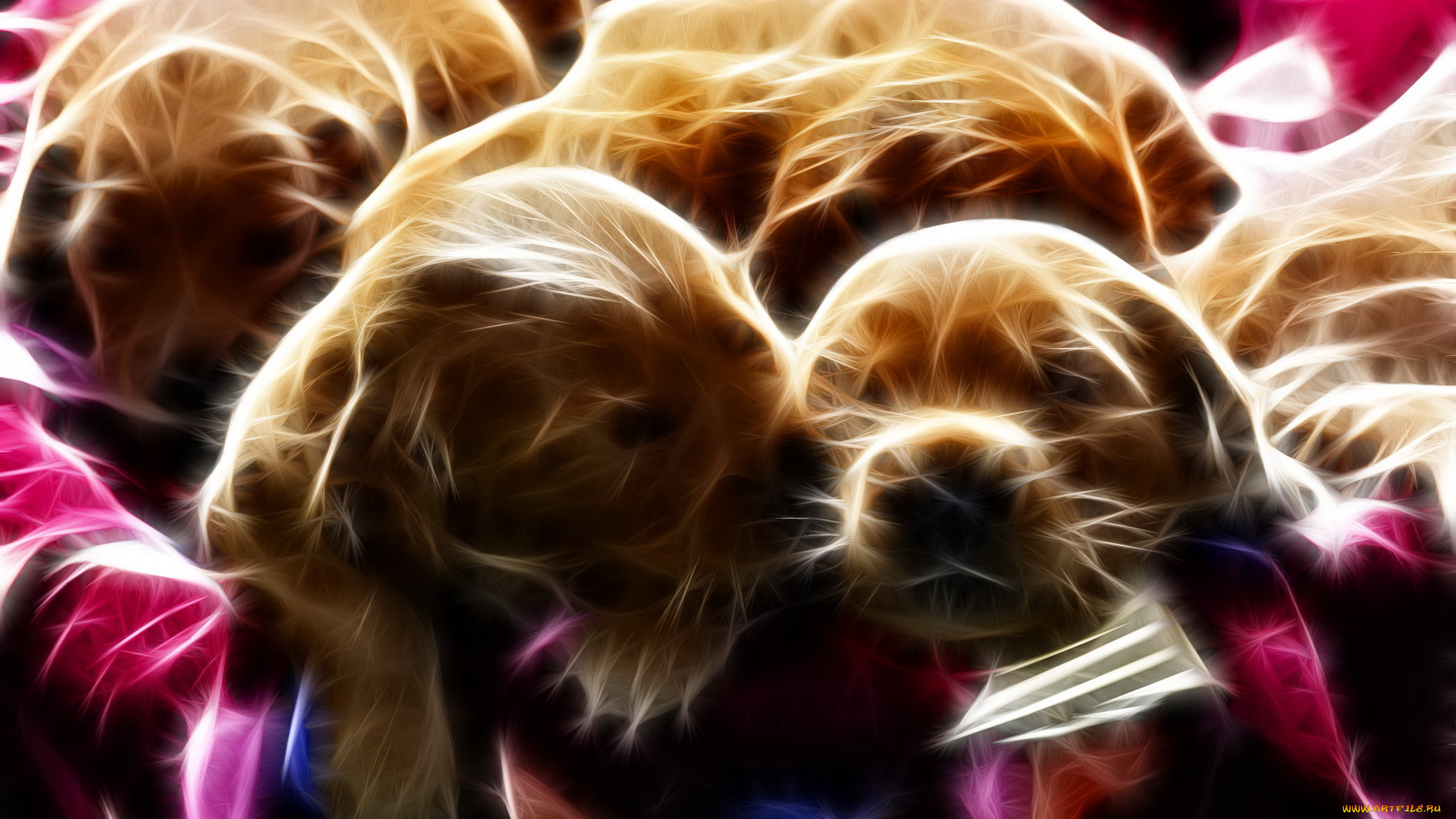 3д, графика, animals, животные, щенки