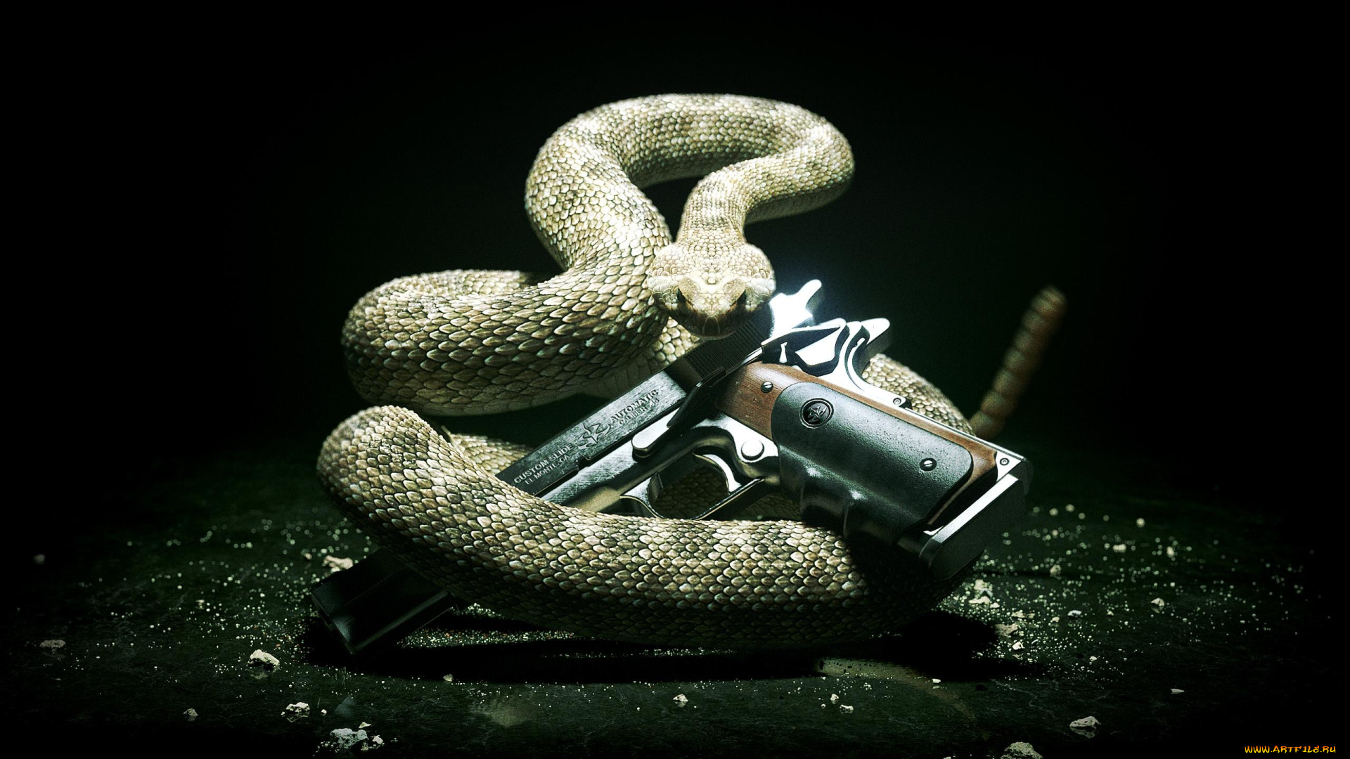 hitman, absolution, видео, игры, змея, оружие, пистолет