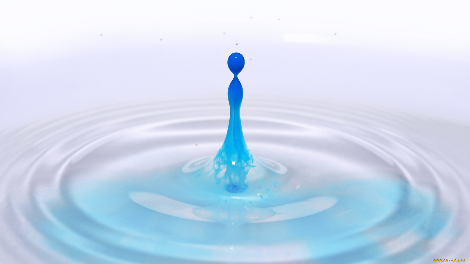 разное, капли, брызги, всплески, всплеск, голубой