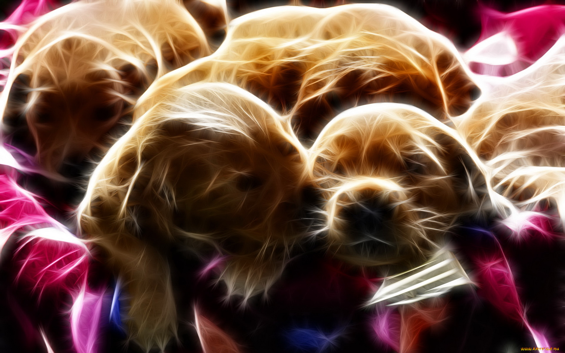 3д, графика, animals, животные, щенки