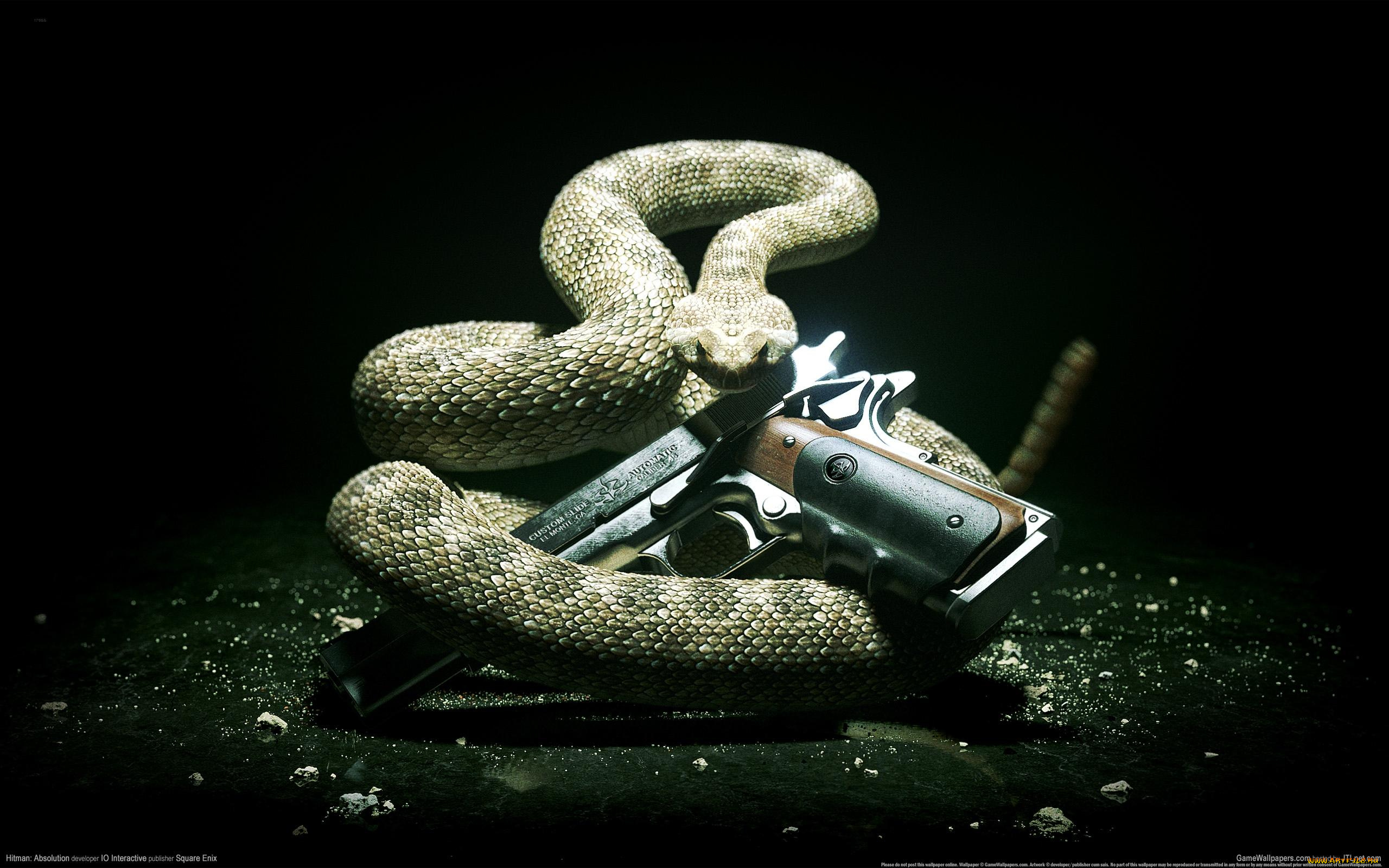 hitman, absolution, видео, игры, змея, оружие, пистолет