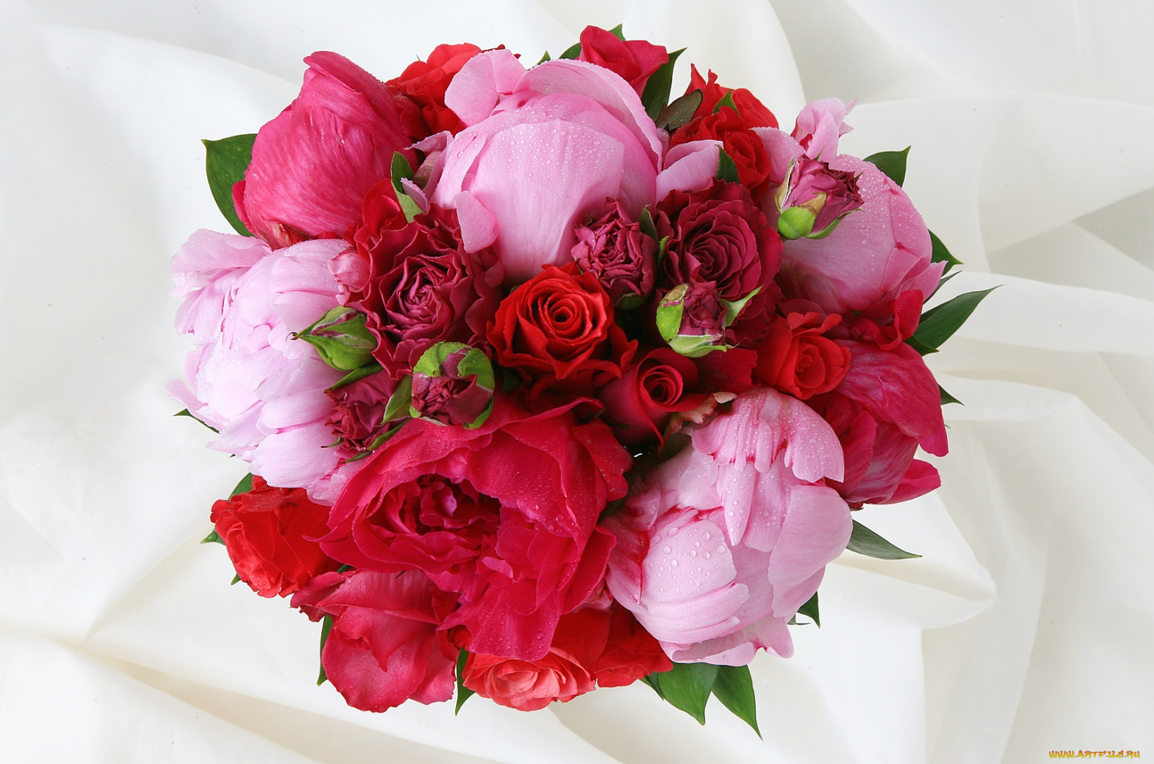 цветы, букеты, композиции, пионы, розы