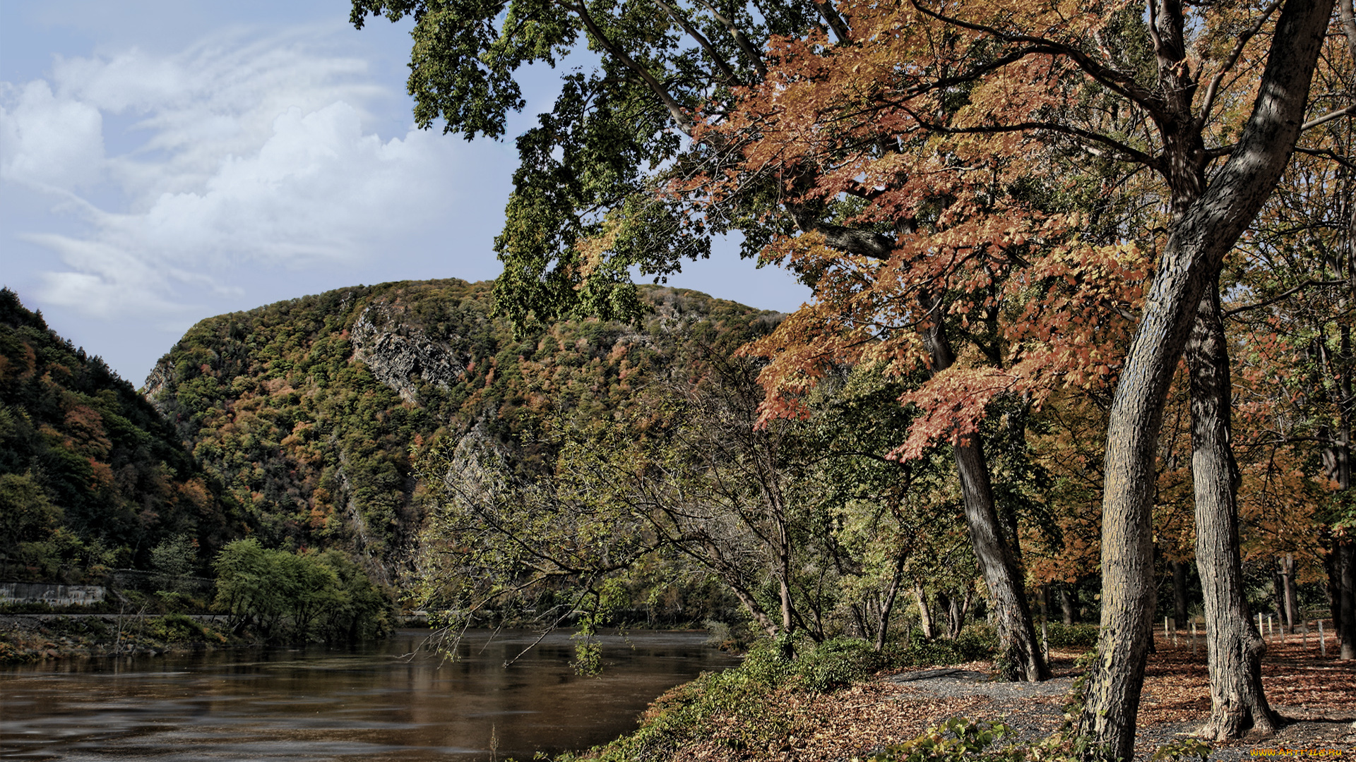 autumns, colors, природа, реки, озера, деревья, горы, река, леса