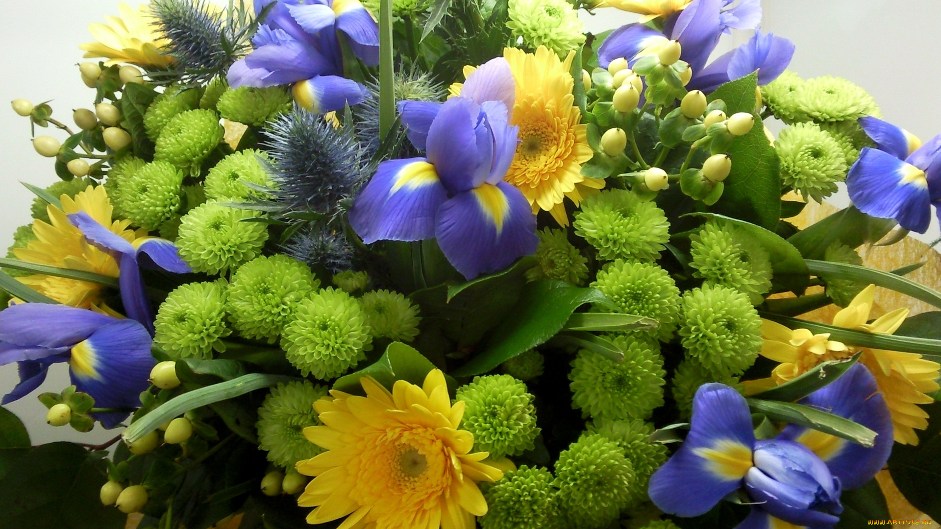 цветы, букеты, композиции, ирисы, букет, хризантемы