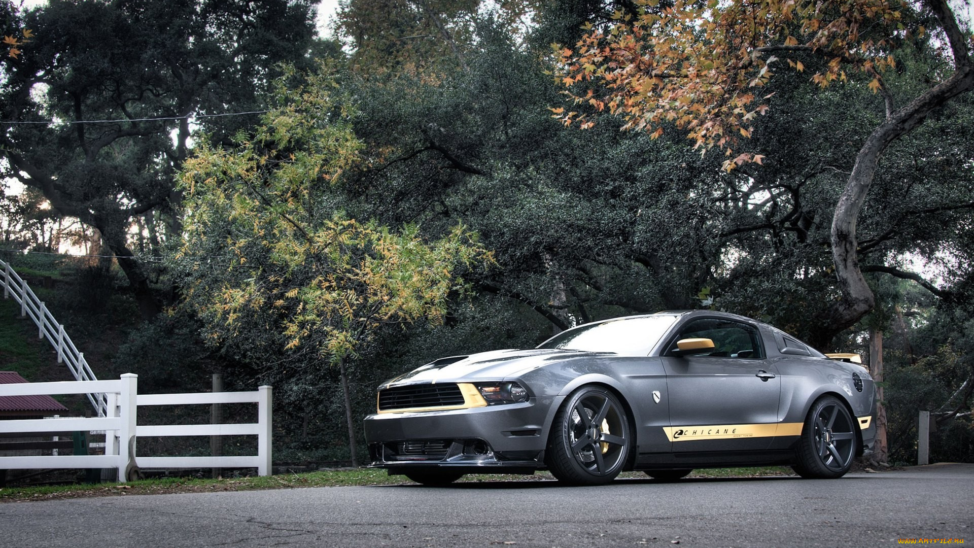 ford, mustang, chicane, edition, автомобили, осень, серый, тюнинг