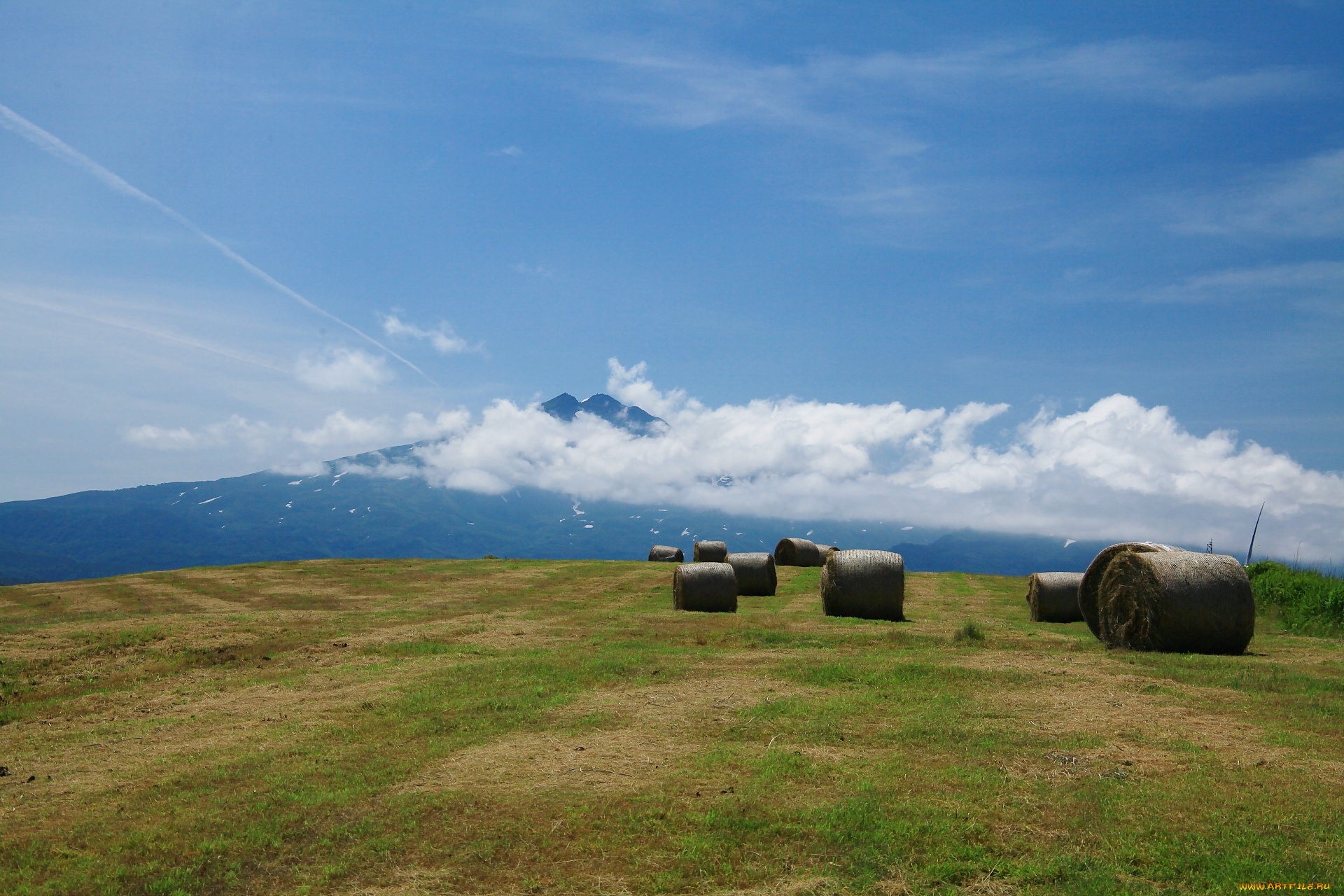 природа, поля, сено