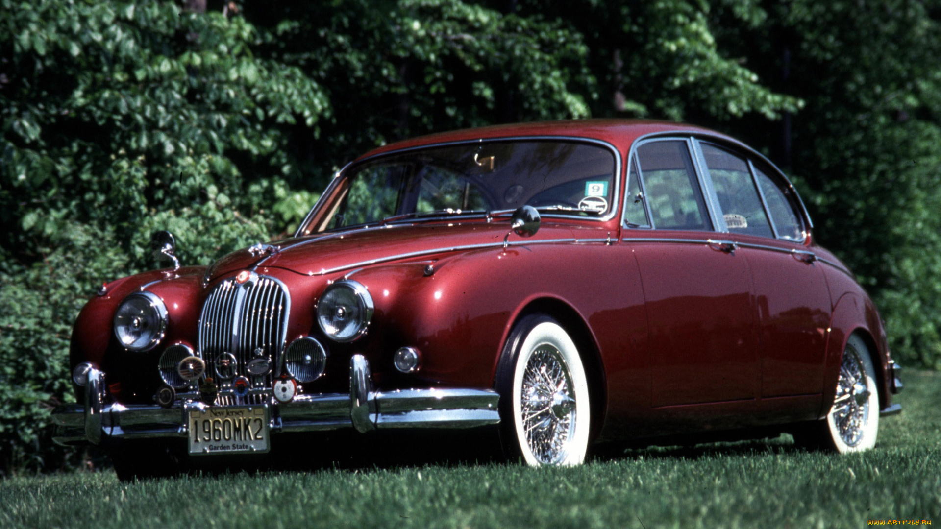 автомобили, jaguar, jaggy