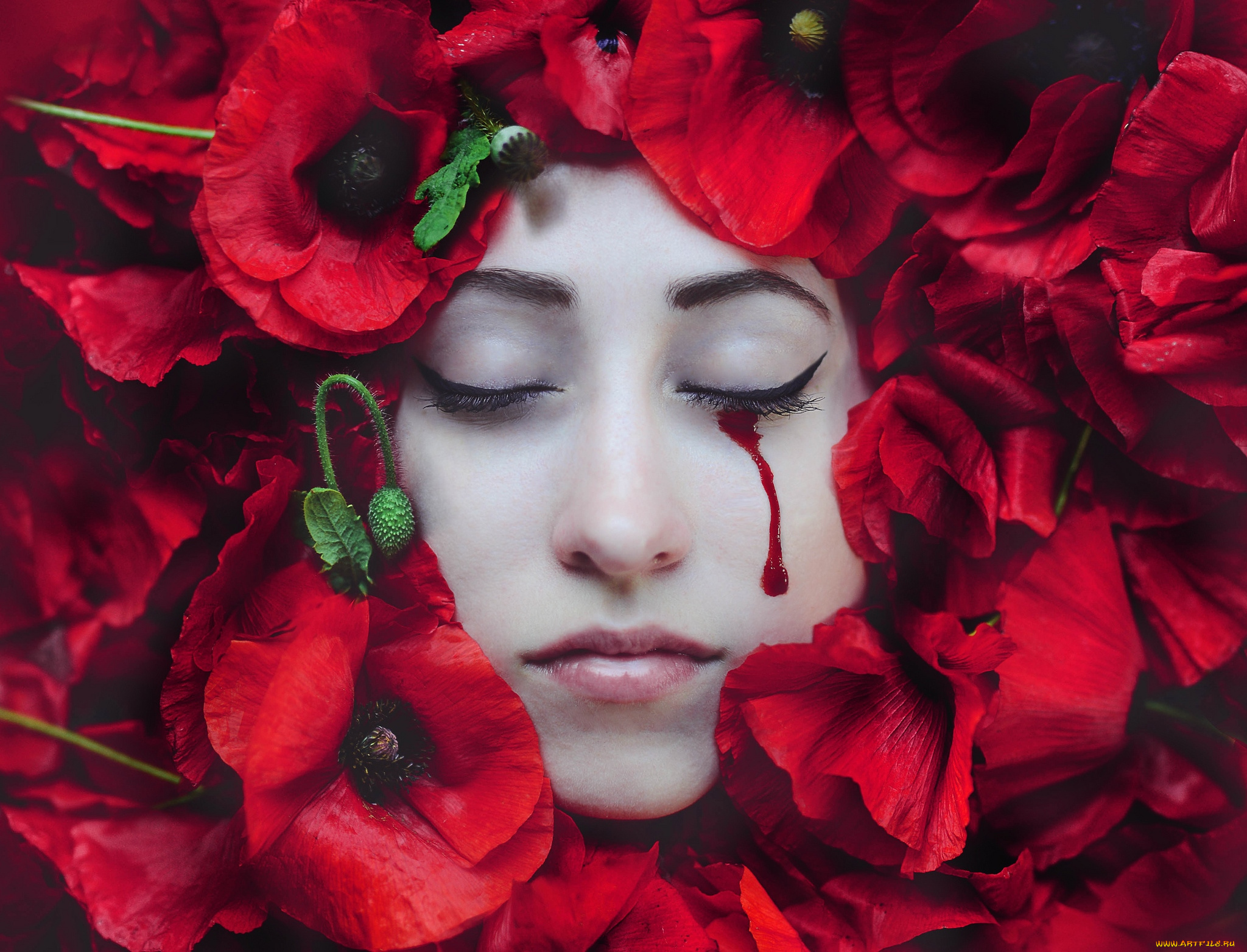 -Unsort, Креатив, девушки, unsort, креатив, маки, слеза