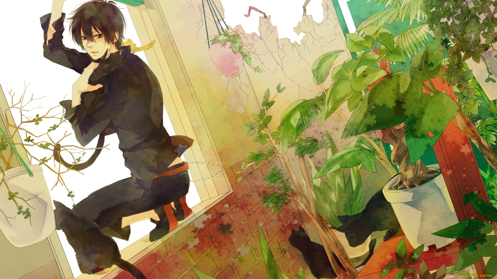 аниме, katekyo, hitman, reborn, аркабалено, парень, учитель, мафиози, реборн, брюнет, окно, растения, коты