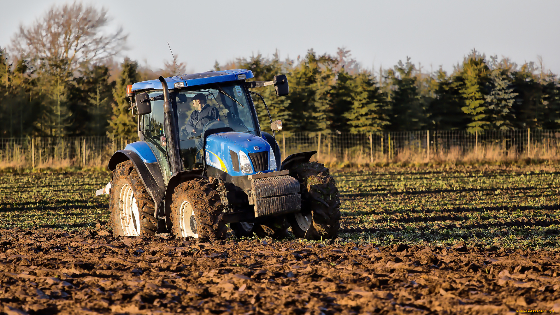 техника, тракторы, трактор, поле