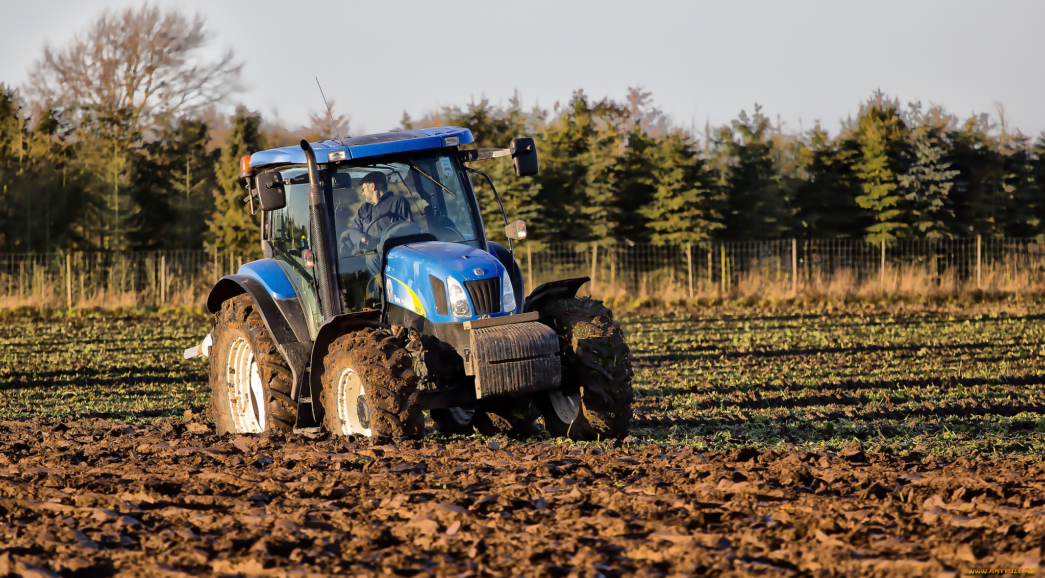 техника, тракторы, трактор, поле
