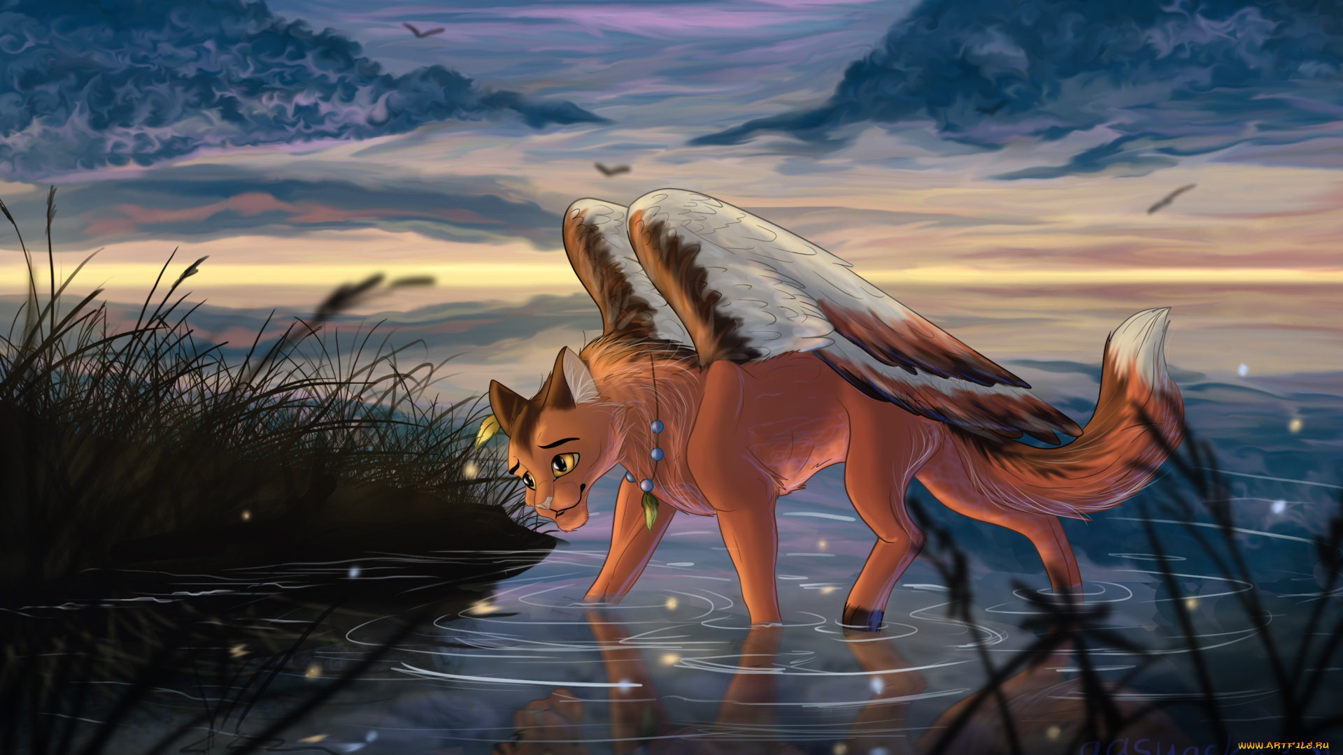 рисованное, животные, , сказочные, , мифические, крылья, вода, фон, взгляд, кот