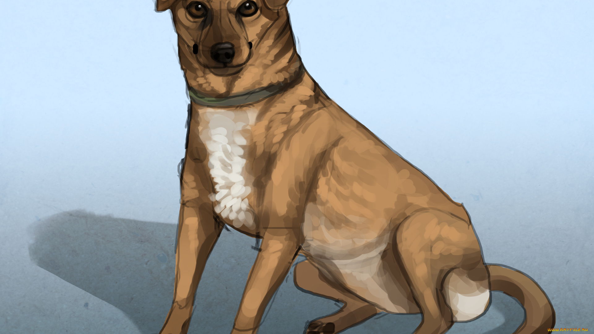 рисованное, животные, , собаки, взгляд, собака