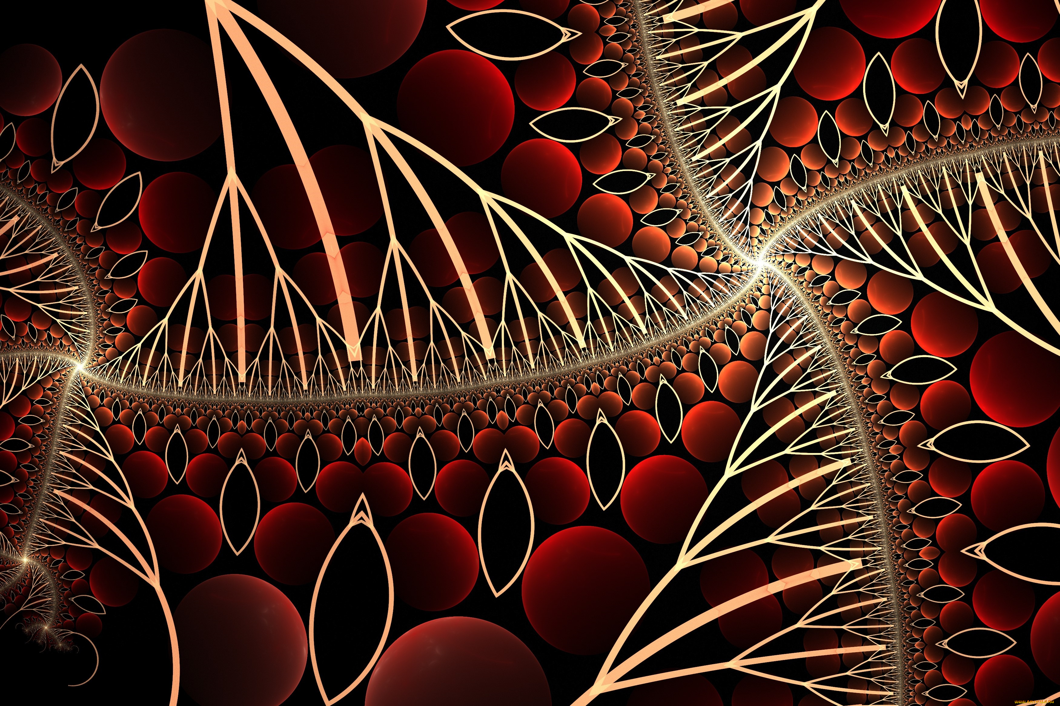 3д, графика, фракталы, , fractal, узор, фон, цвета