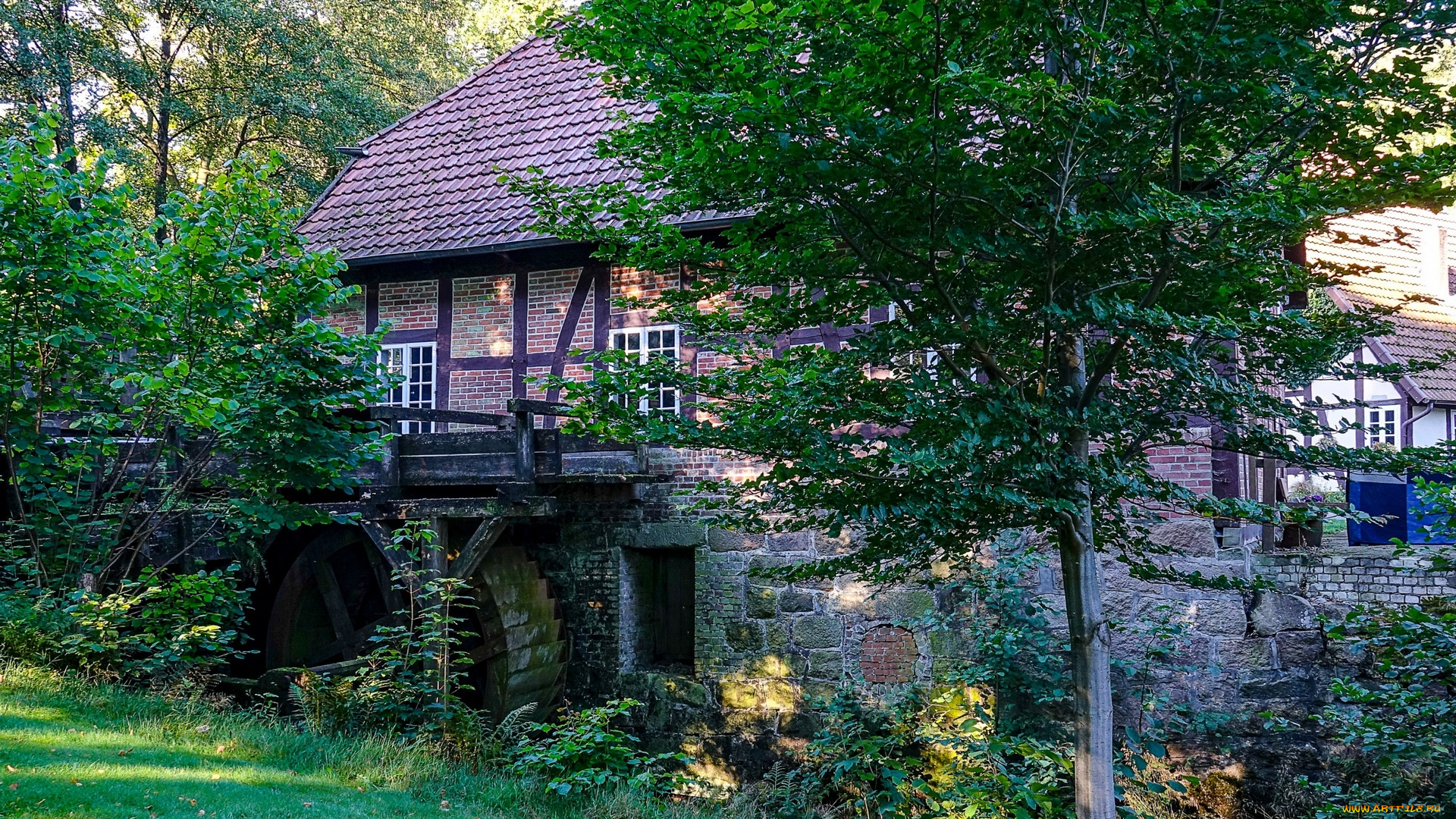 германия, города, -, здания, , дома, деревья, трава