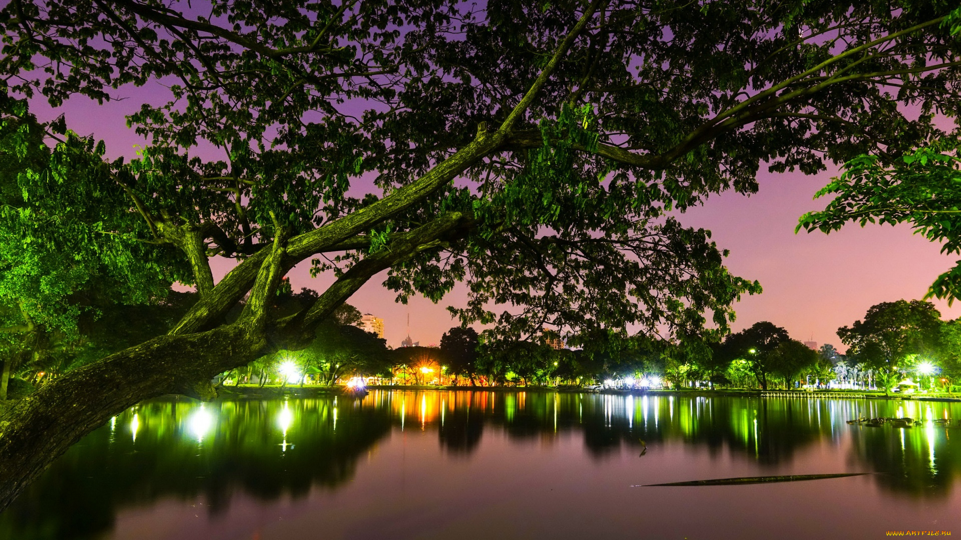 города, -, огни, ночного, города, водоем, деревья, фонари, ночь