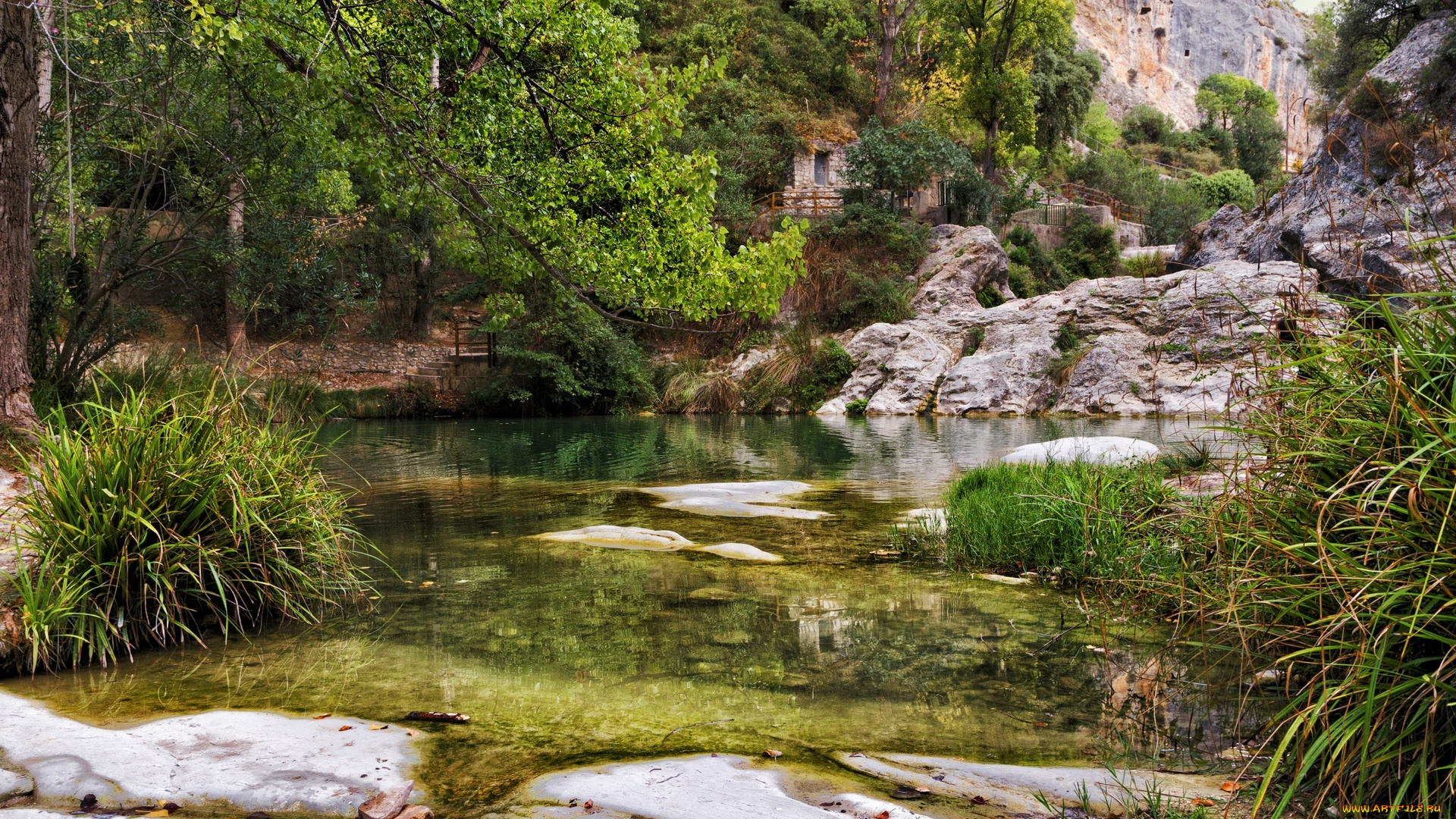 испания, природа, реки, озера, водоем, трава, деревья, камни
