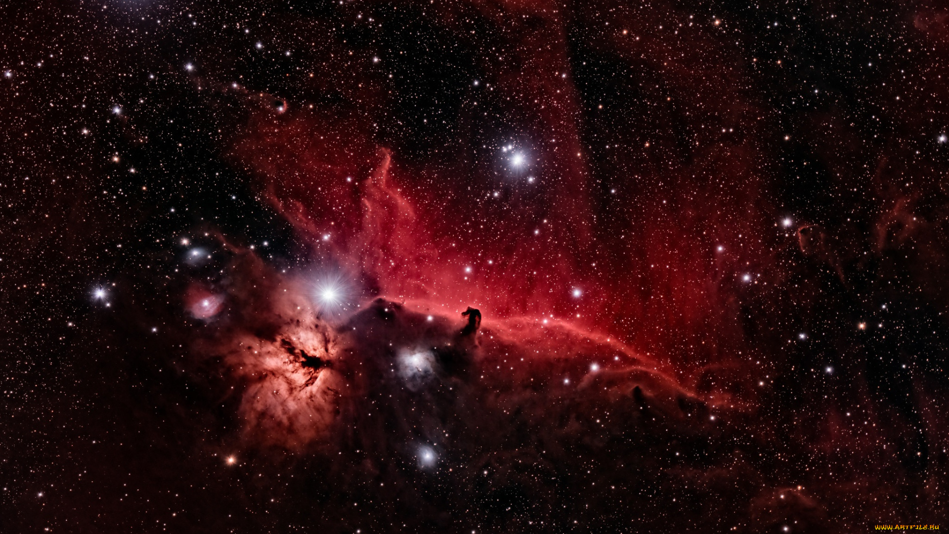 космос, галактики, туманности, конская, голова, звезды