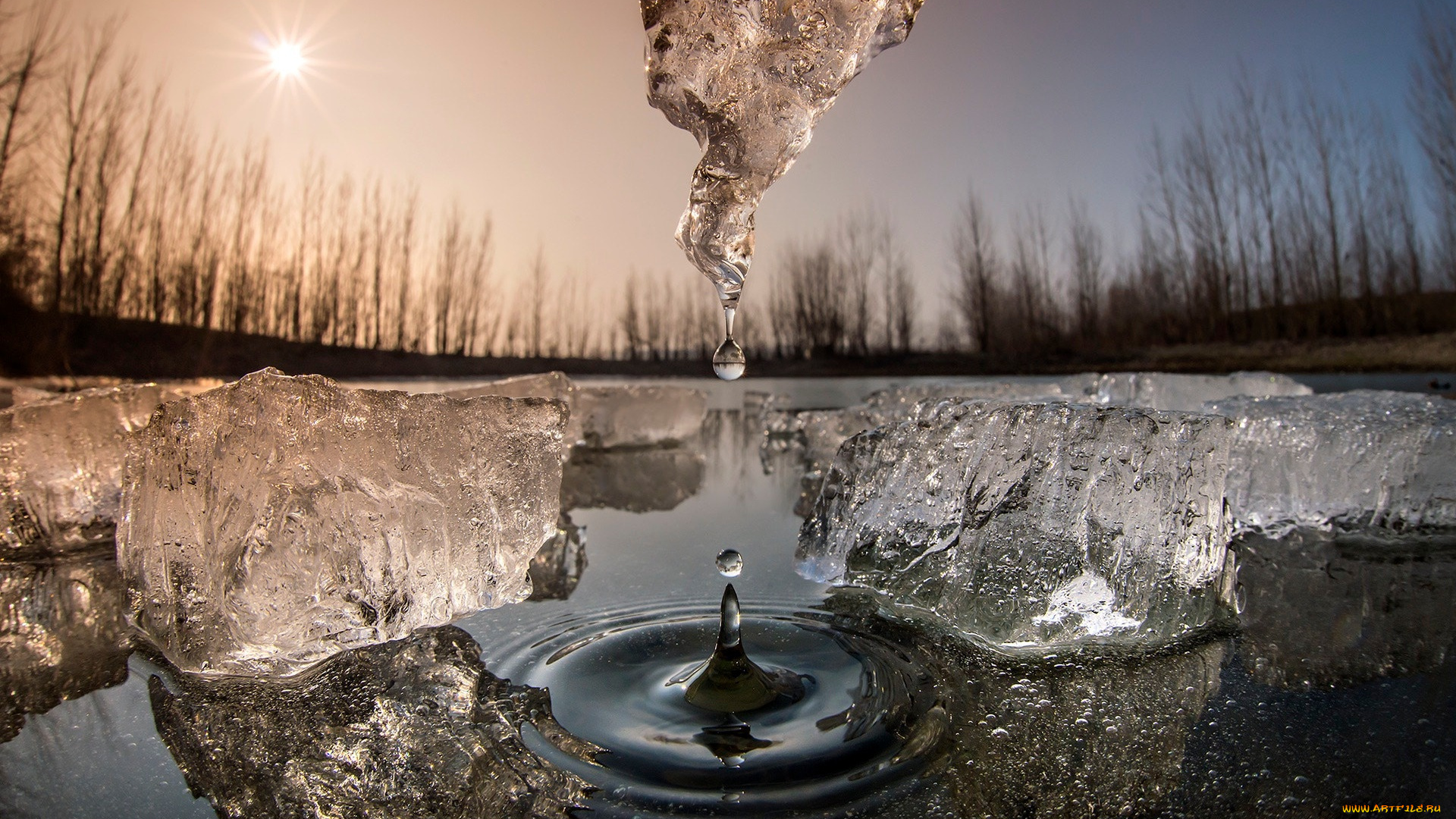 природа, макро, весна, солнце, лёд, капля, вода