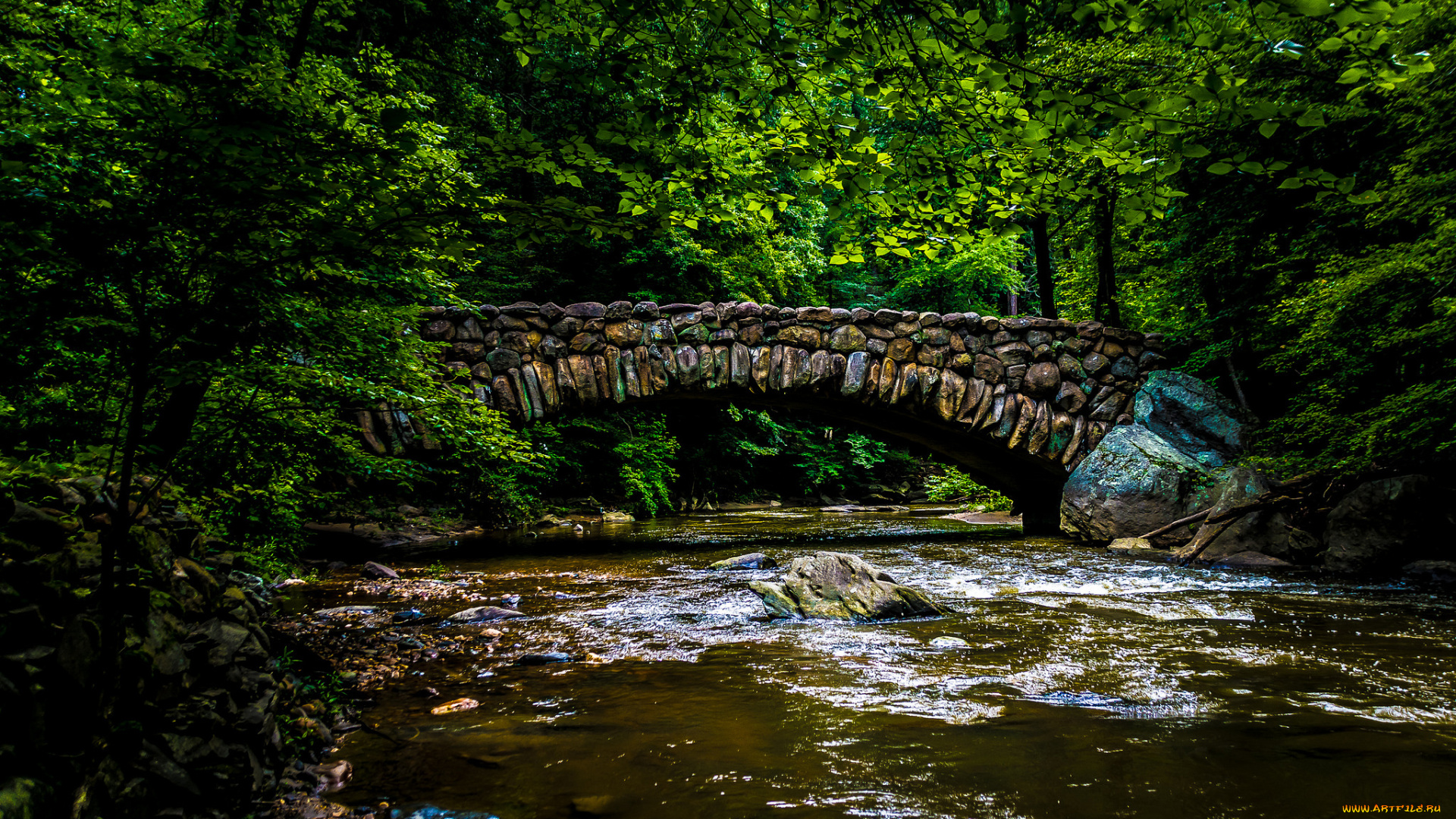 природа, реки, озера, мост, река