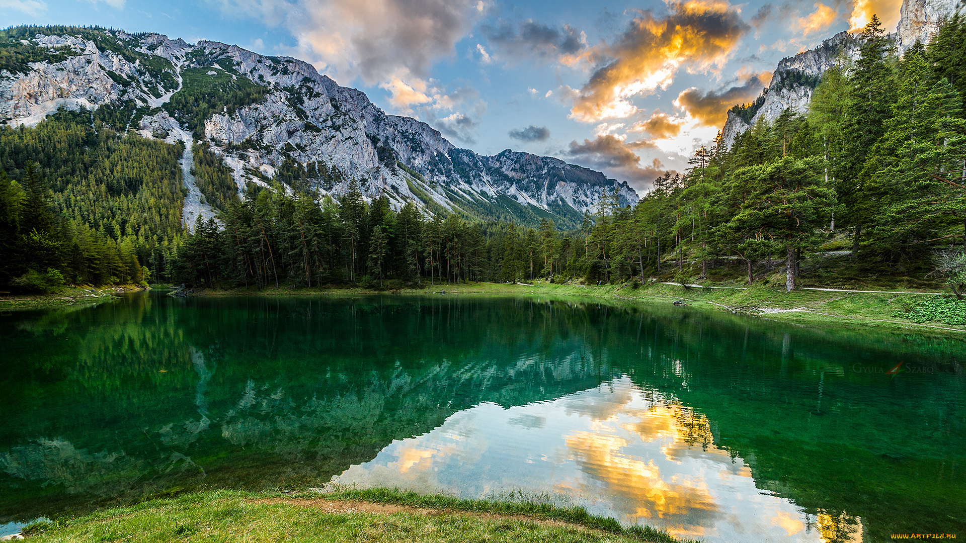 природа, реки, озера, река, лес