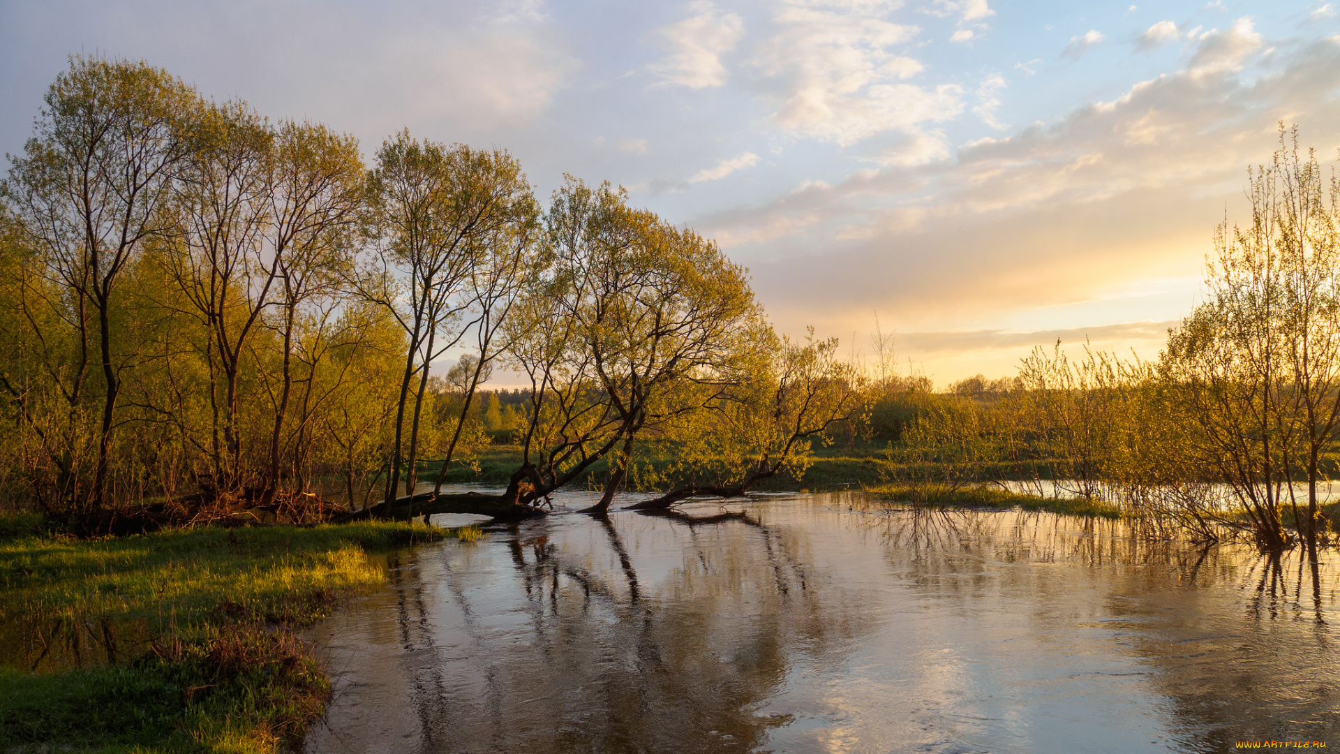 природа, реки, озера, река, лес