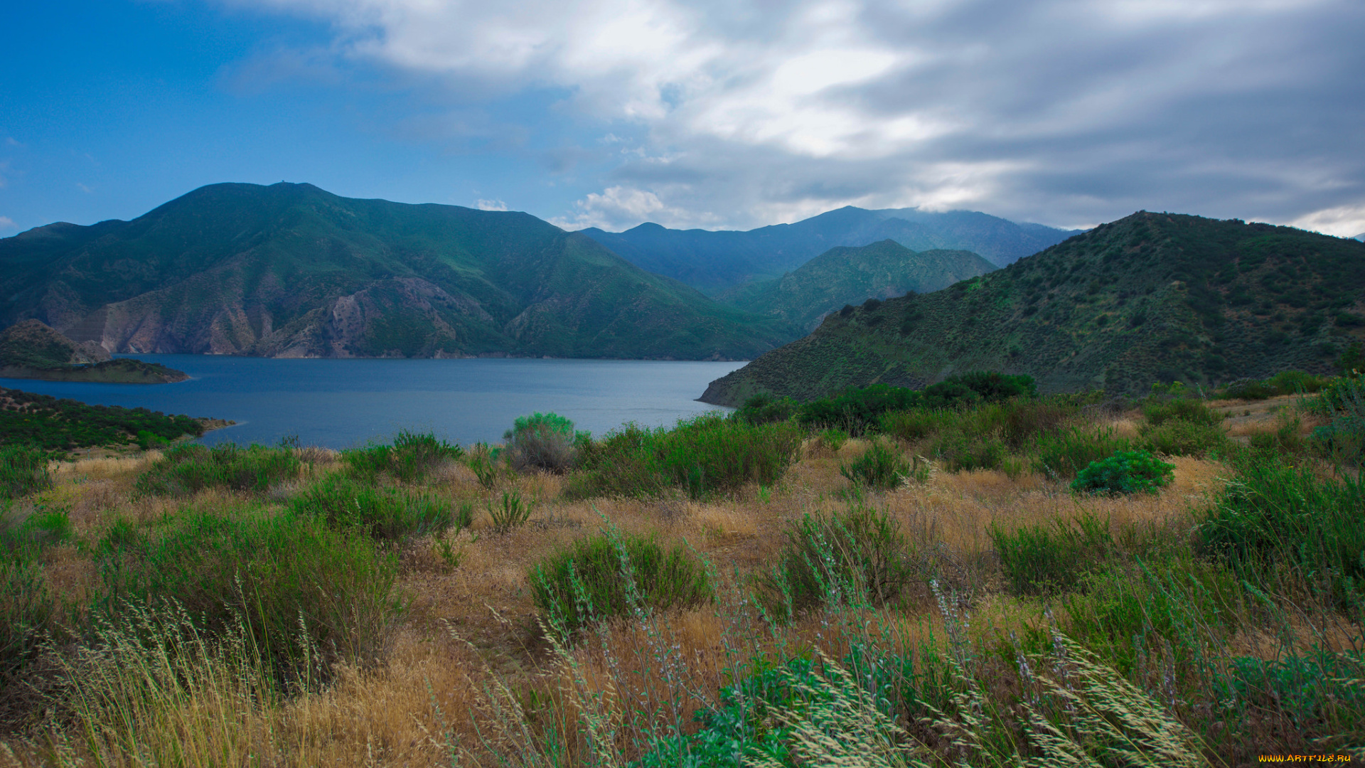 природа, реки, озера, река, лес