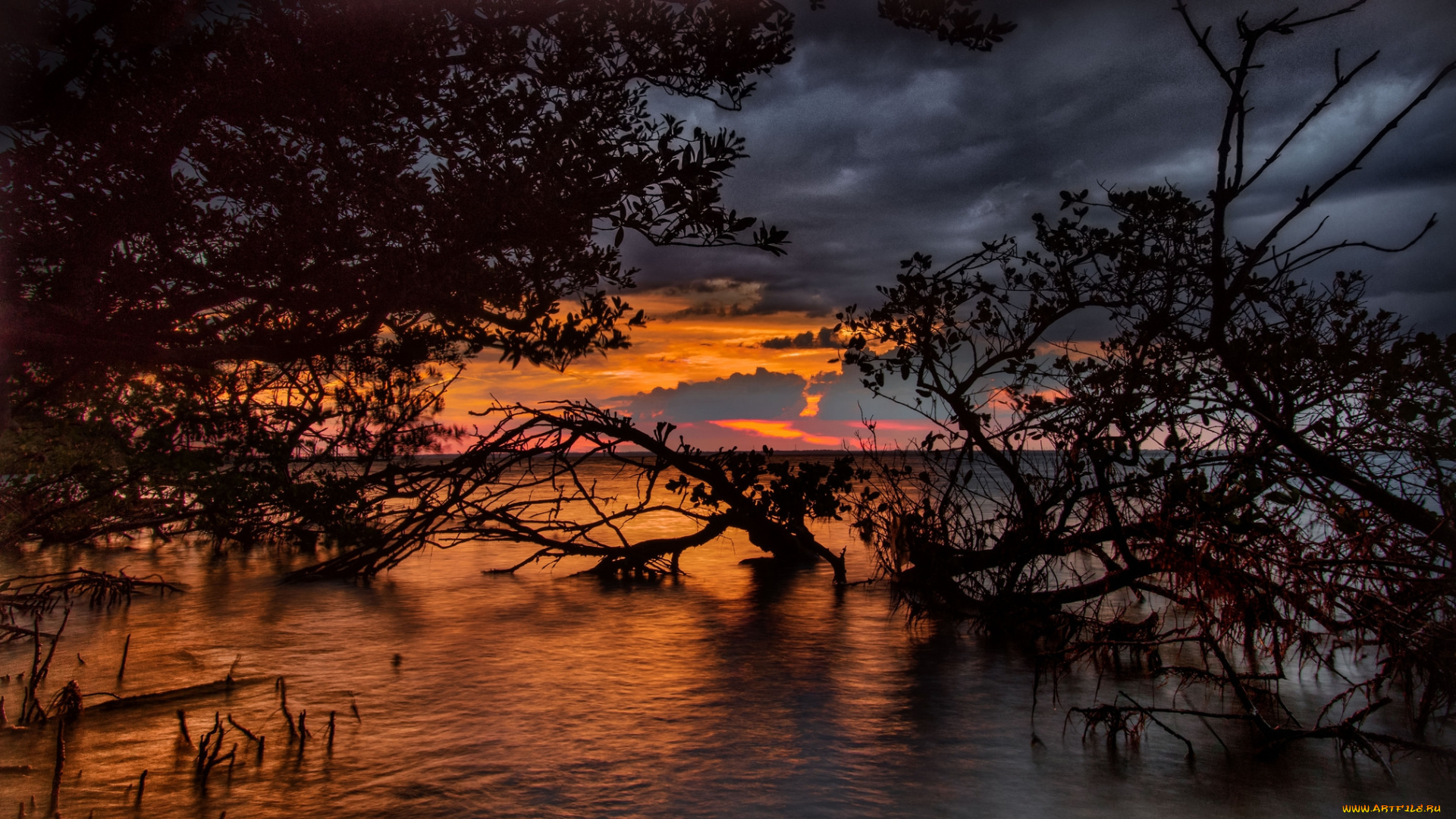 природа, реки, озера, река, лес