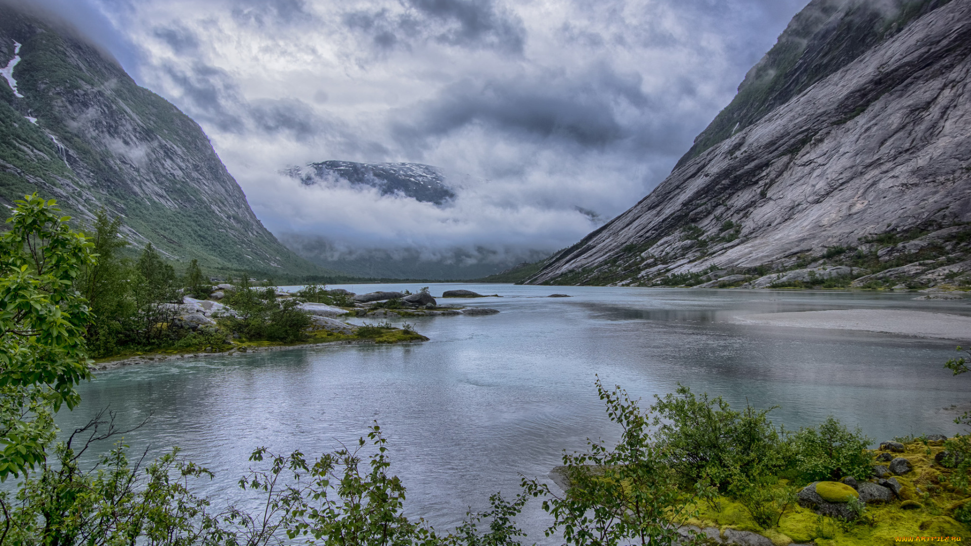 природа, реки, озера, река, лес