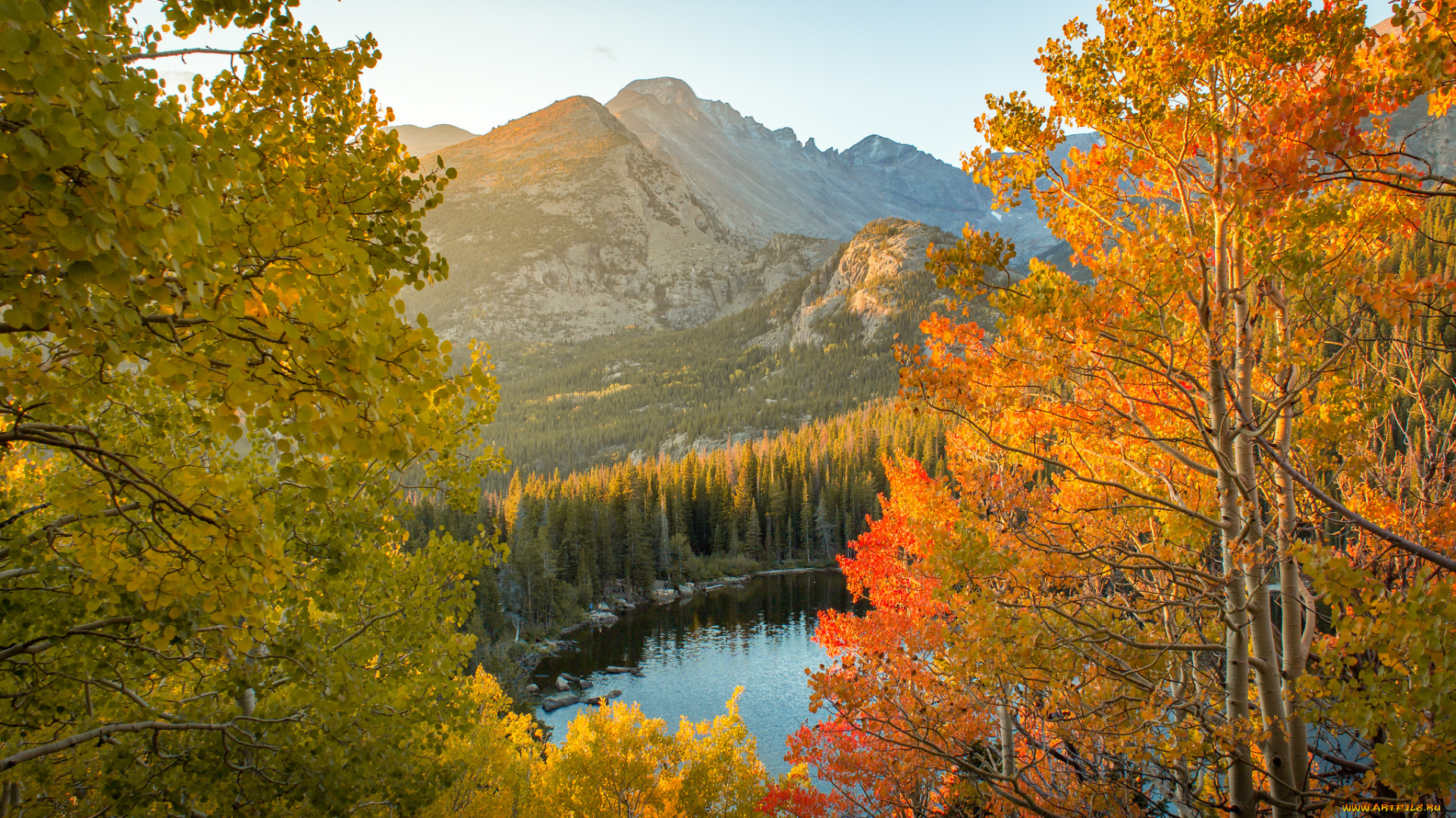 природа, реки, озера, река, лес