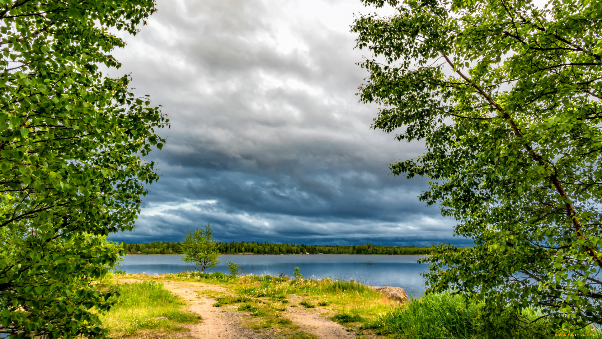 природа, реки, озера, река, лес