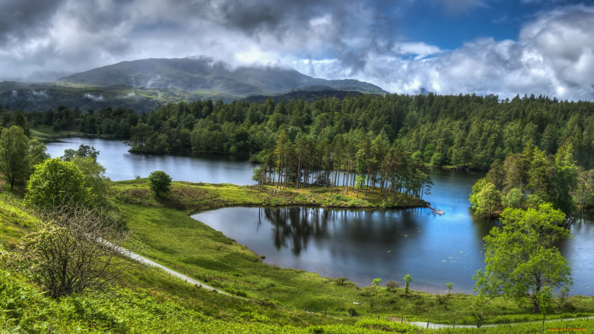 природа, реки, озера, трава, деревья, холм, водоем, облака