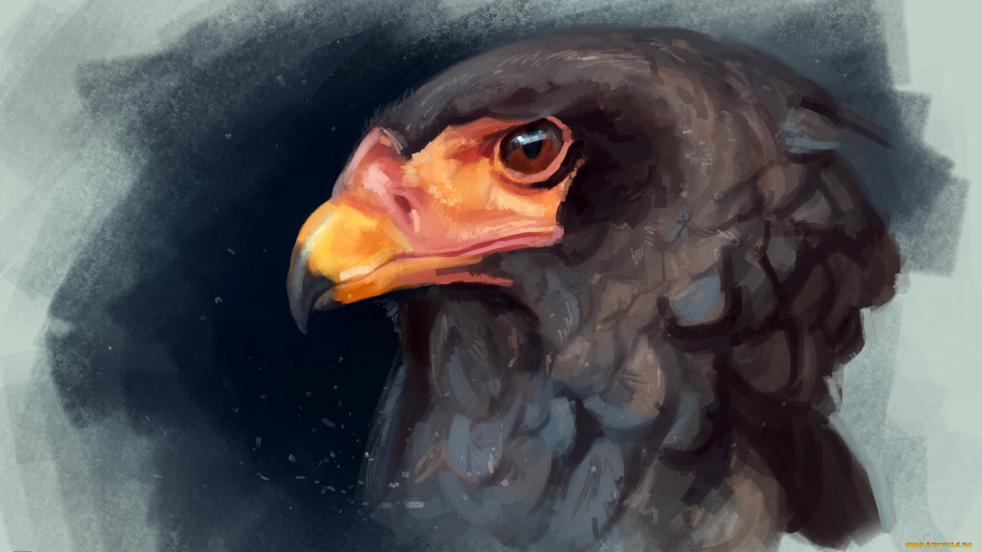 рисованное, животные, , птицы, , орлы, голова