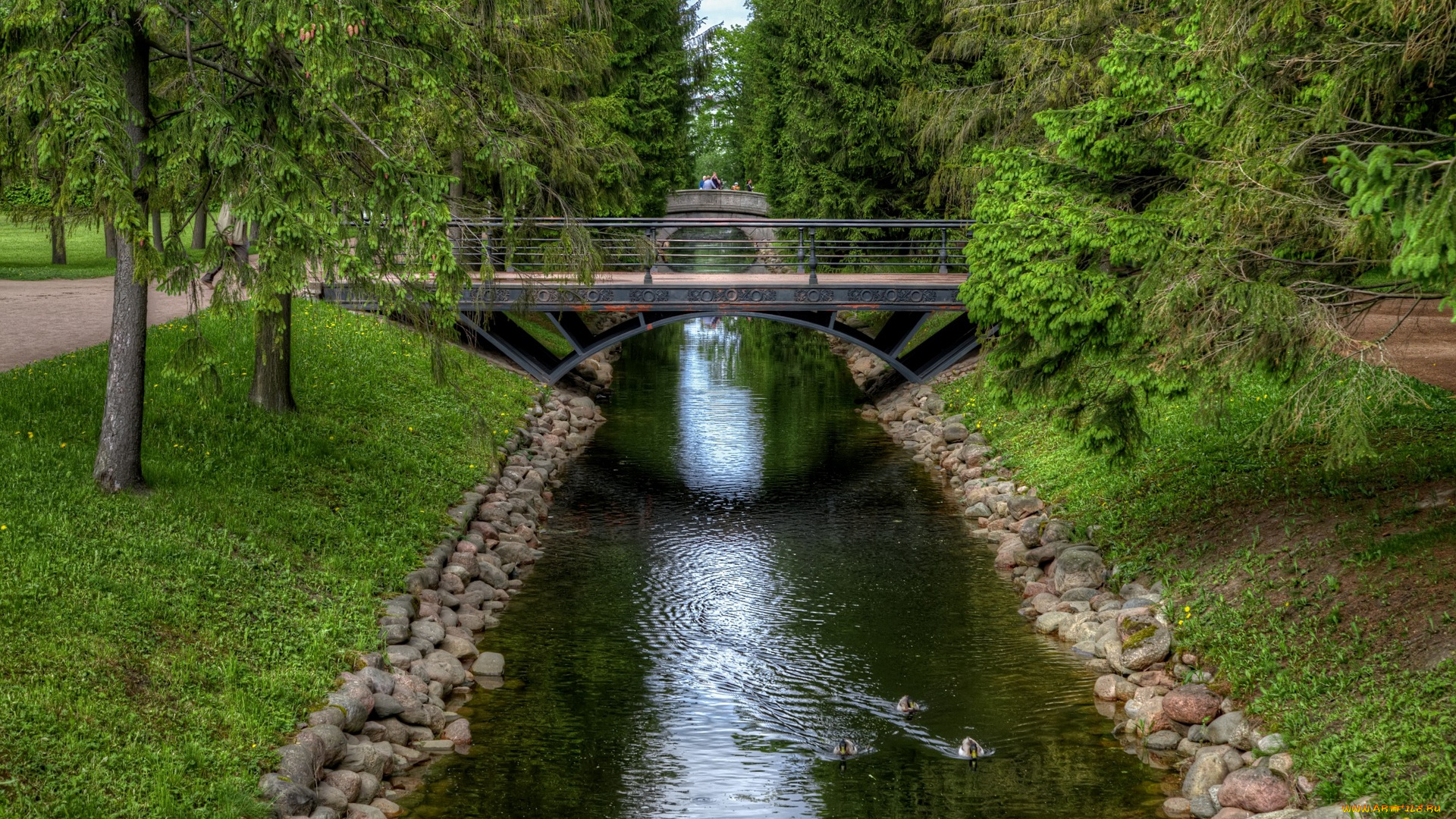 с-петербург, природа, парк, водоем, мост, трава, деревья