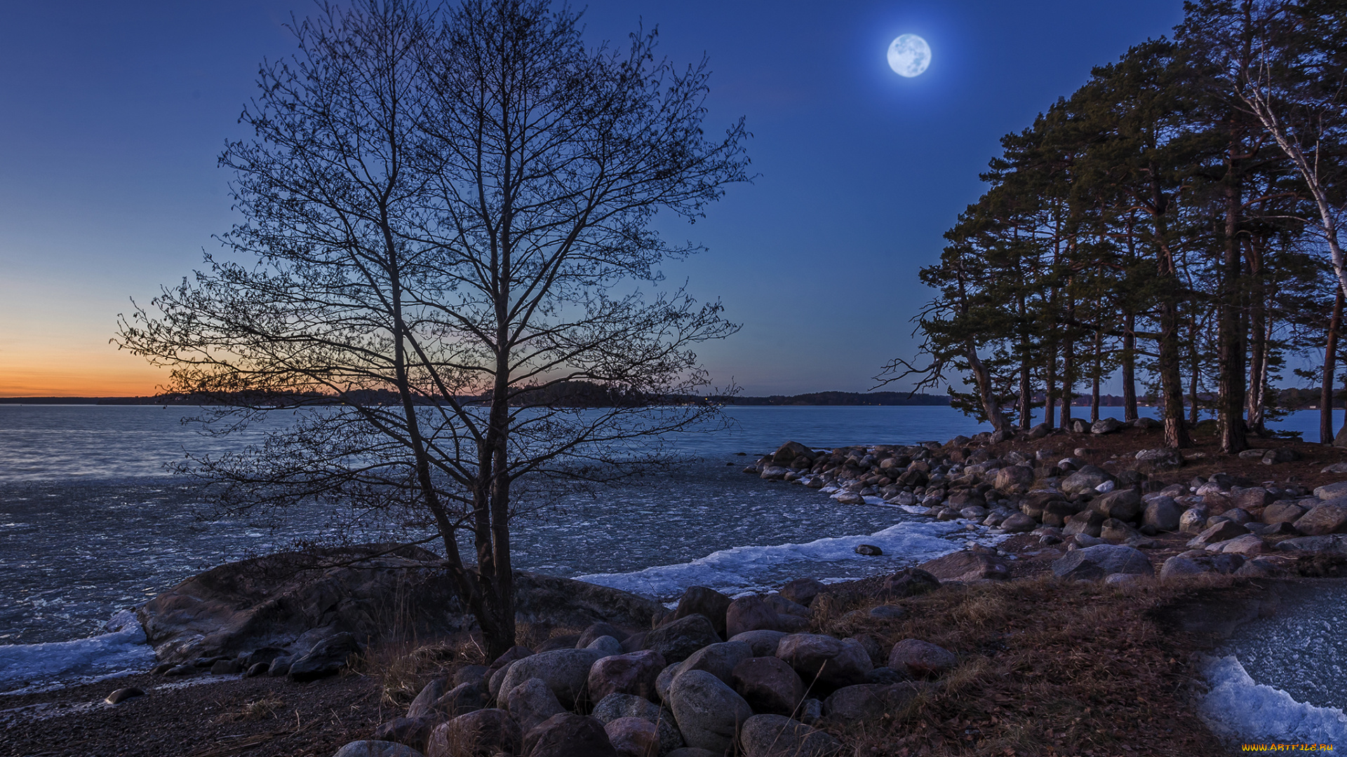 швеция, природа, побережье, камни, деревья, водоем, луна