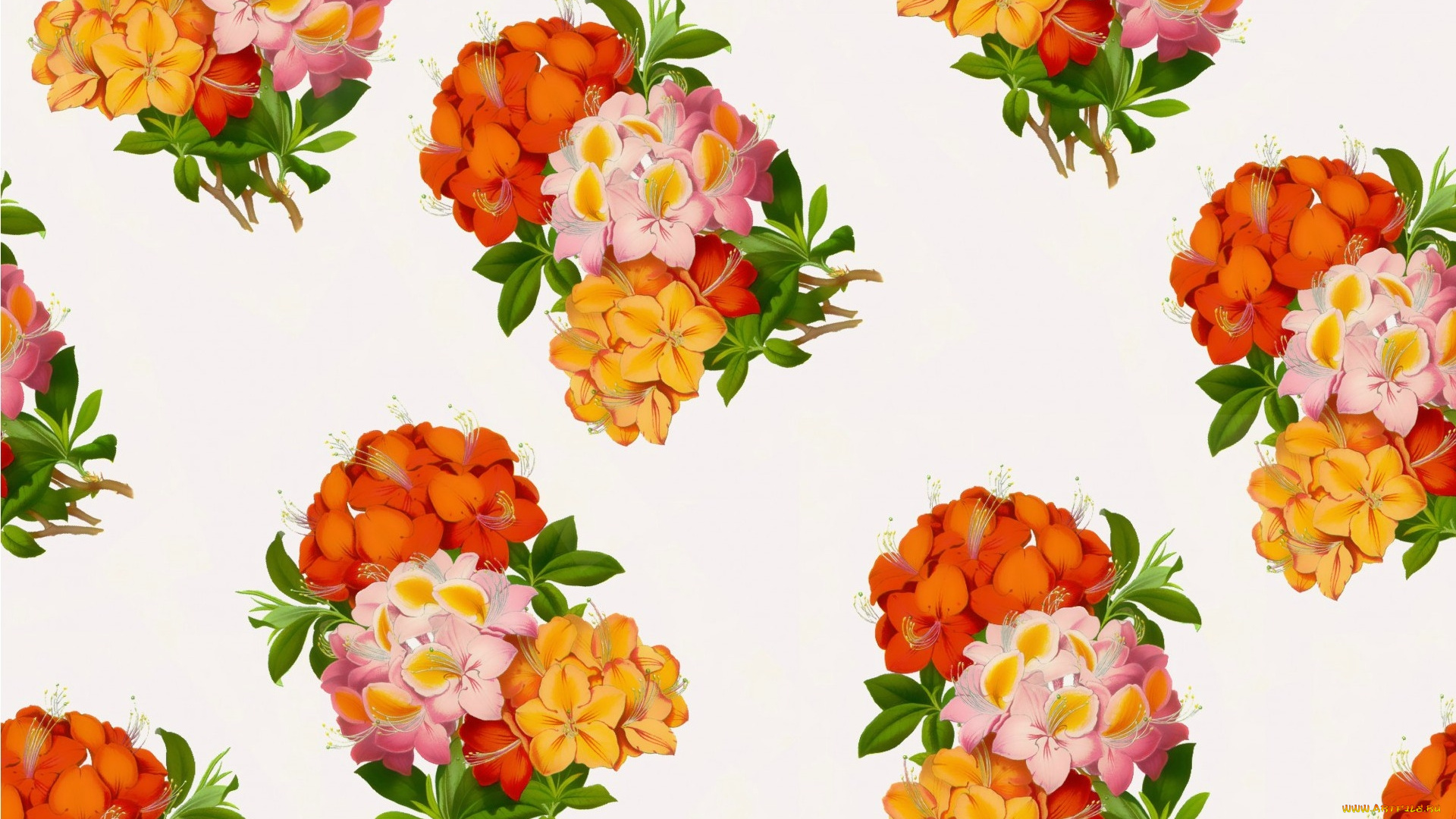 векторная, графика, цветы, , flowers, цветы, фон