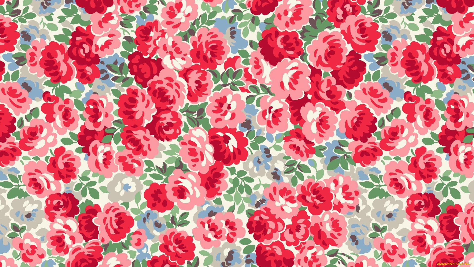 векторная, графика, цветы, , flowers, фон, цветы