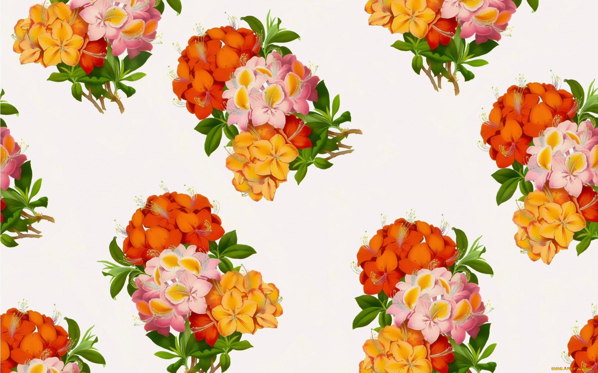 векторная, графика, цветы, , flowers, цветы, фон