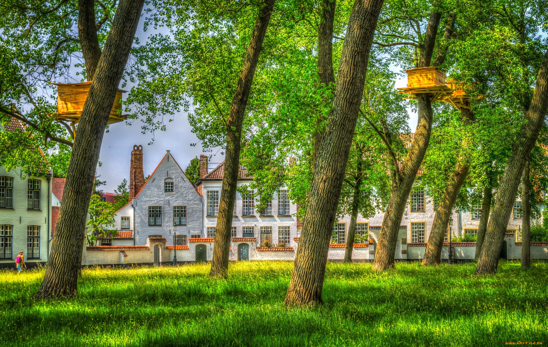 бельгия, города, -, пейзажи, трава, деревья, здания