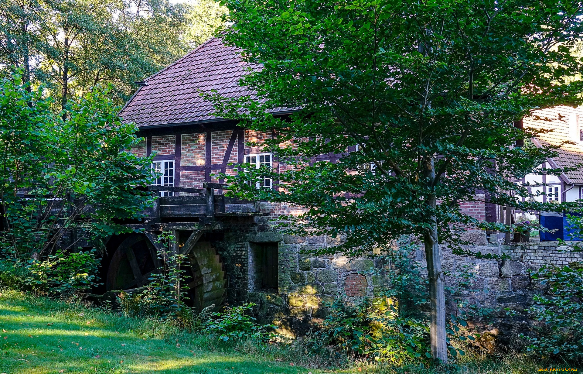 германия, города, -, здания, , дома, деревья, трава