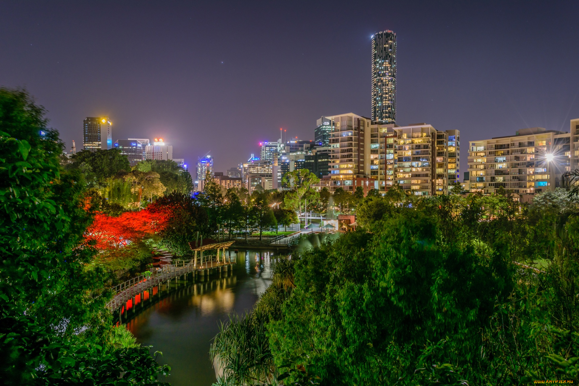 города, -, огни, ночного, города, деревья, водоем, фонари, здания, ночь