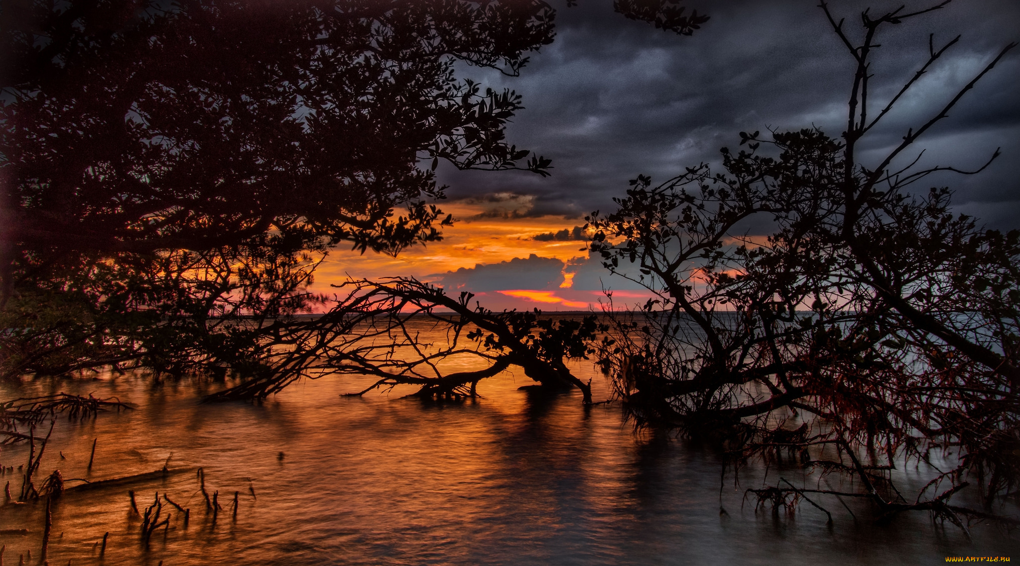 природа, реки, озера, река, лес