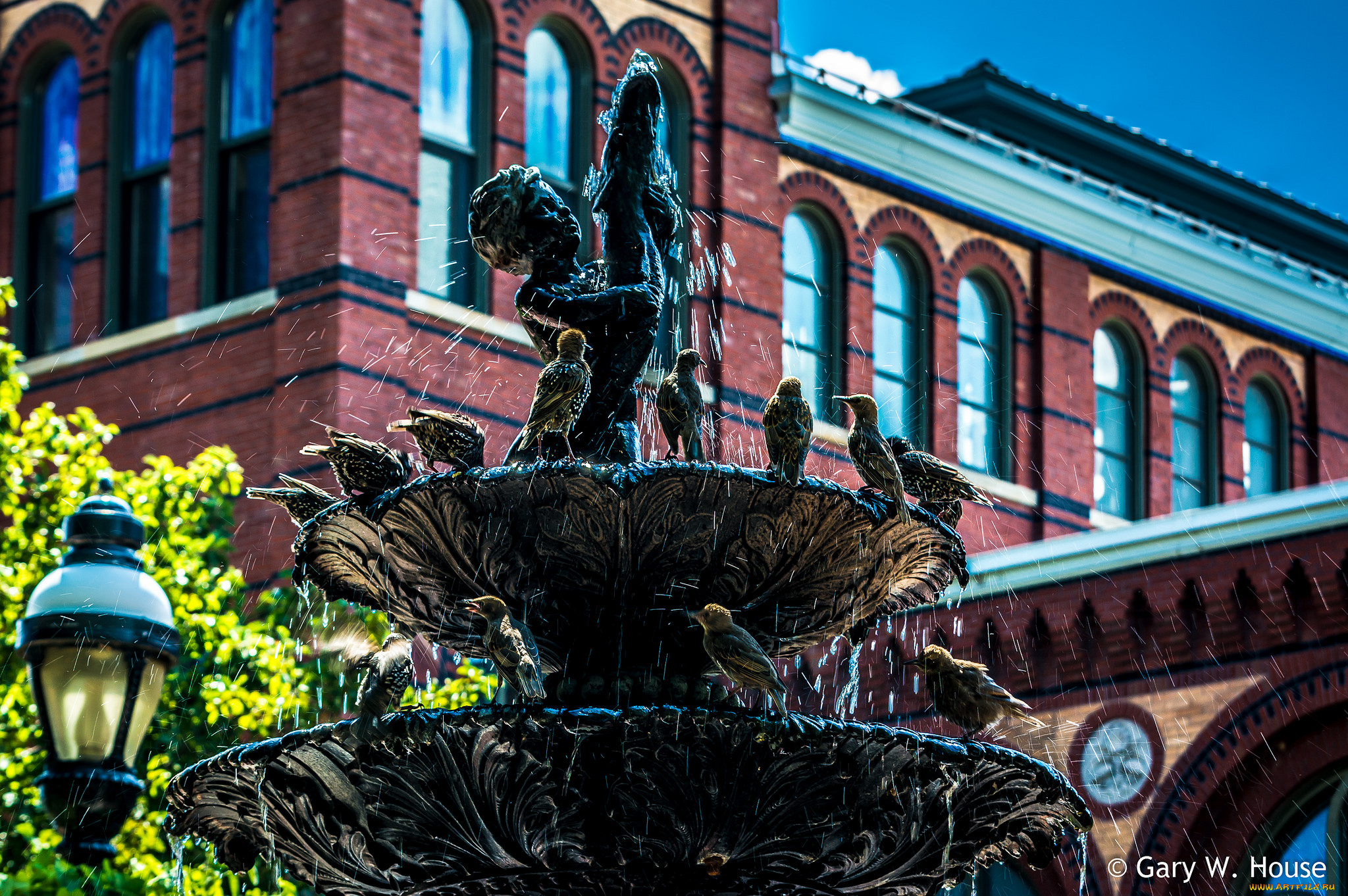 города, -, фонтаны, фонтан, мальчик