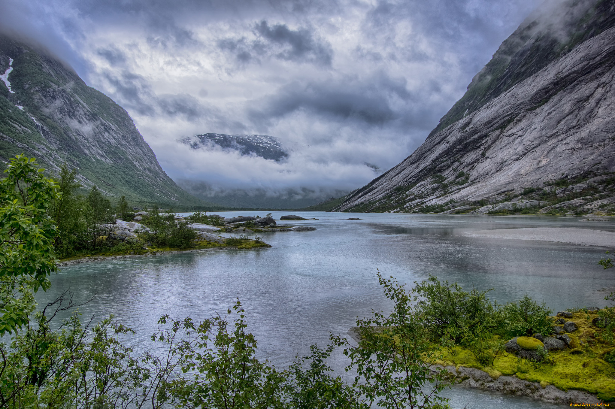 природа, реки, озера, река, лес